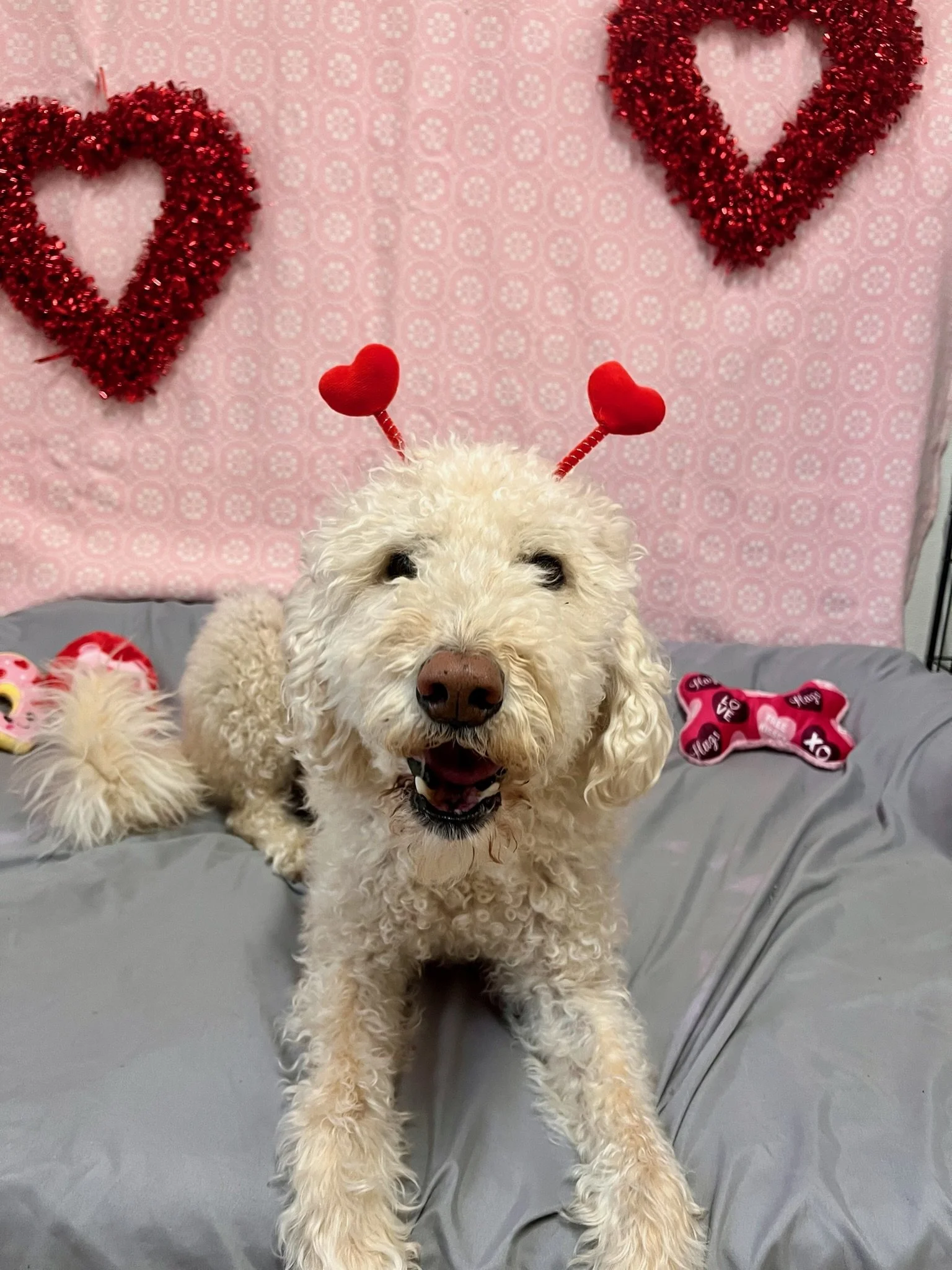 Valentine's Day 2025 