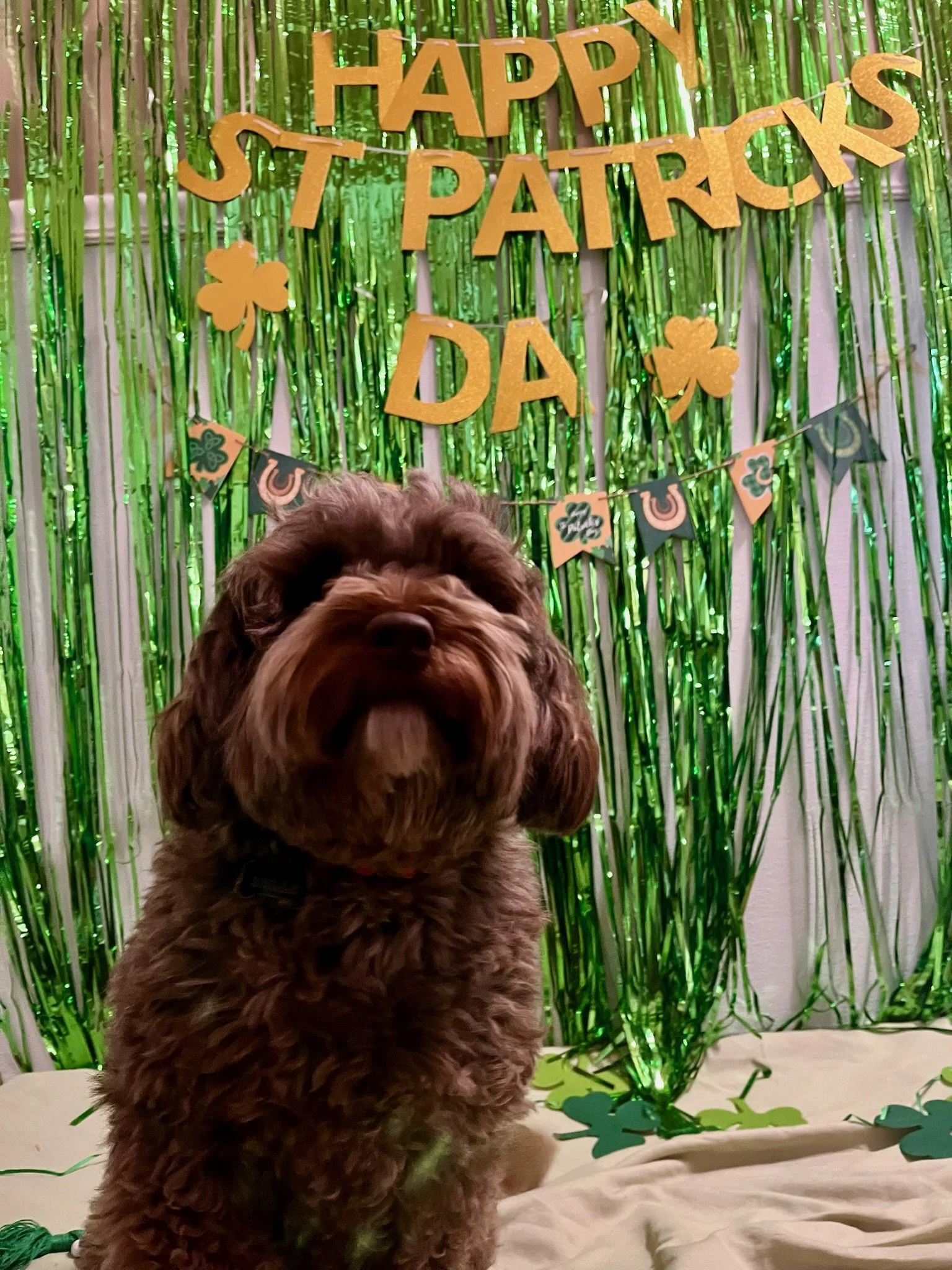 St. Patrick's Day 2025 