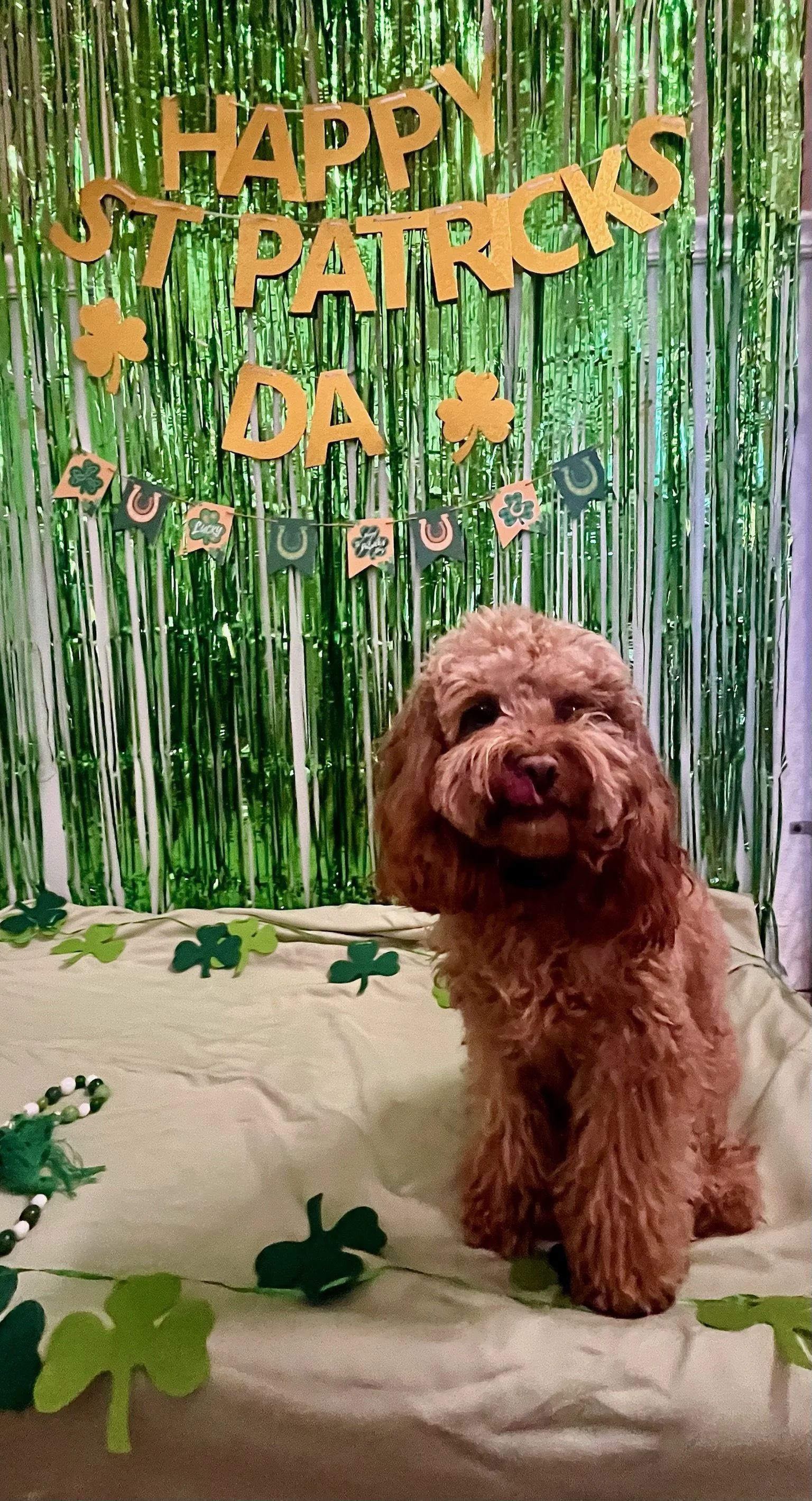 St. Patrick's Day 2025 