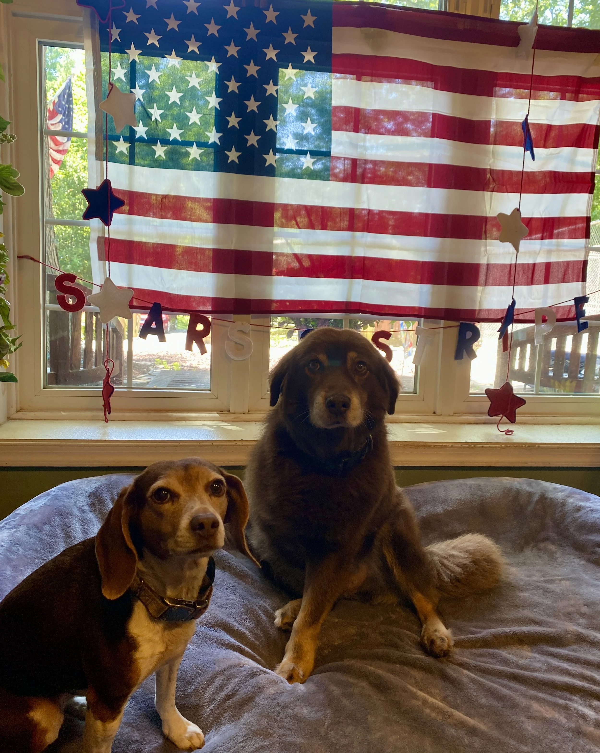 Independence Day 2025 