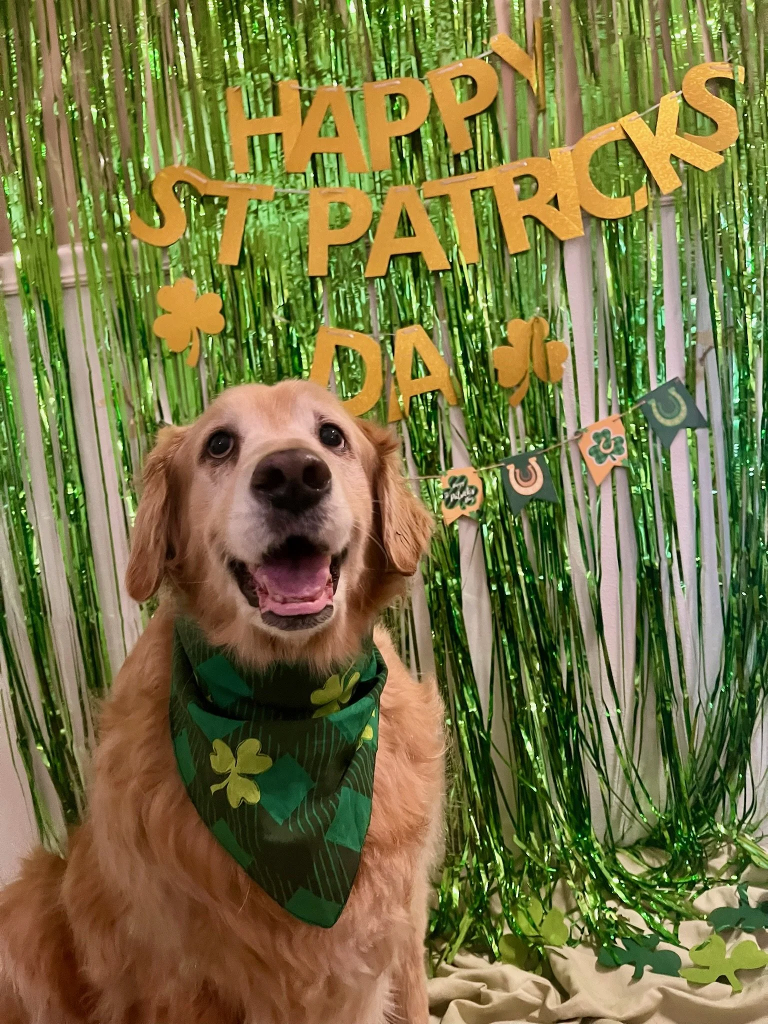 St. Patrick's Day 2025 