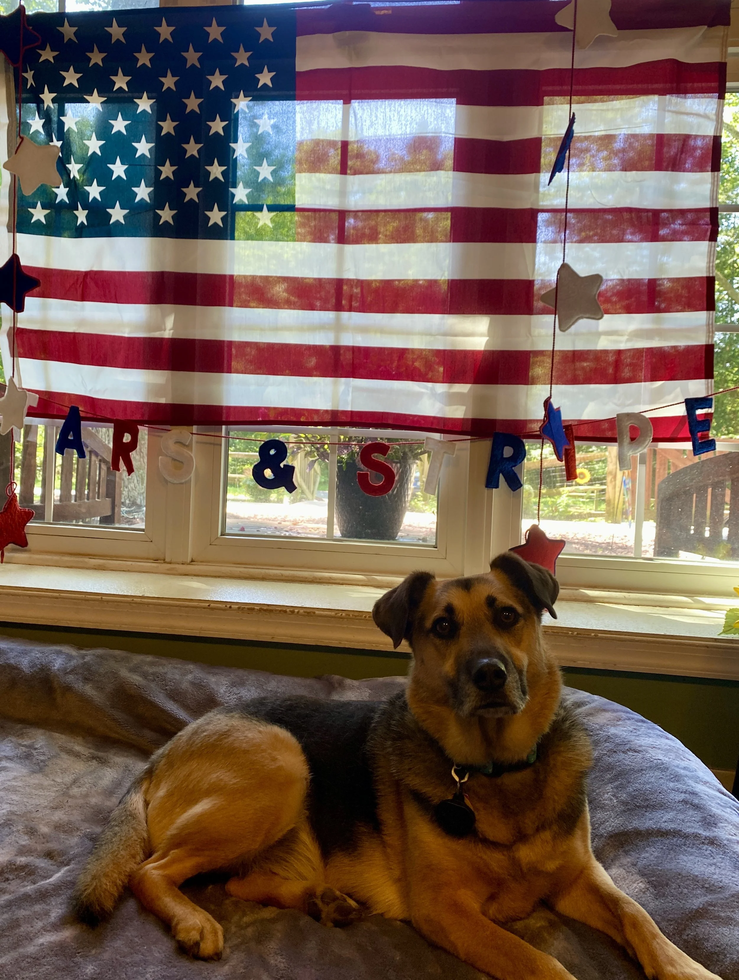 Independence Day 2025 