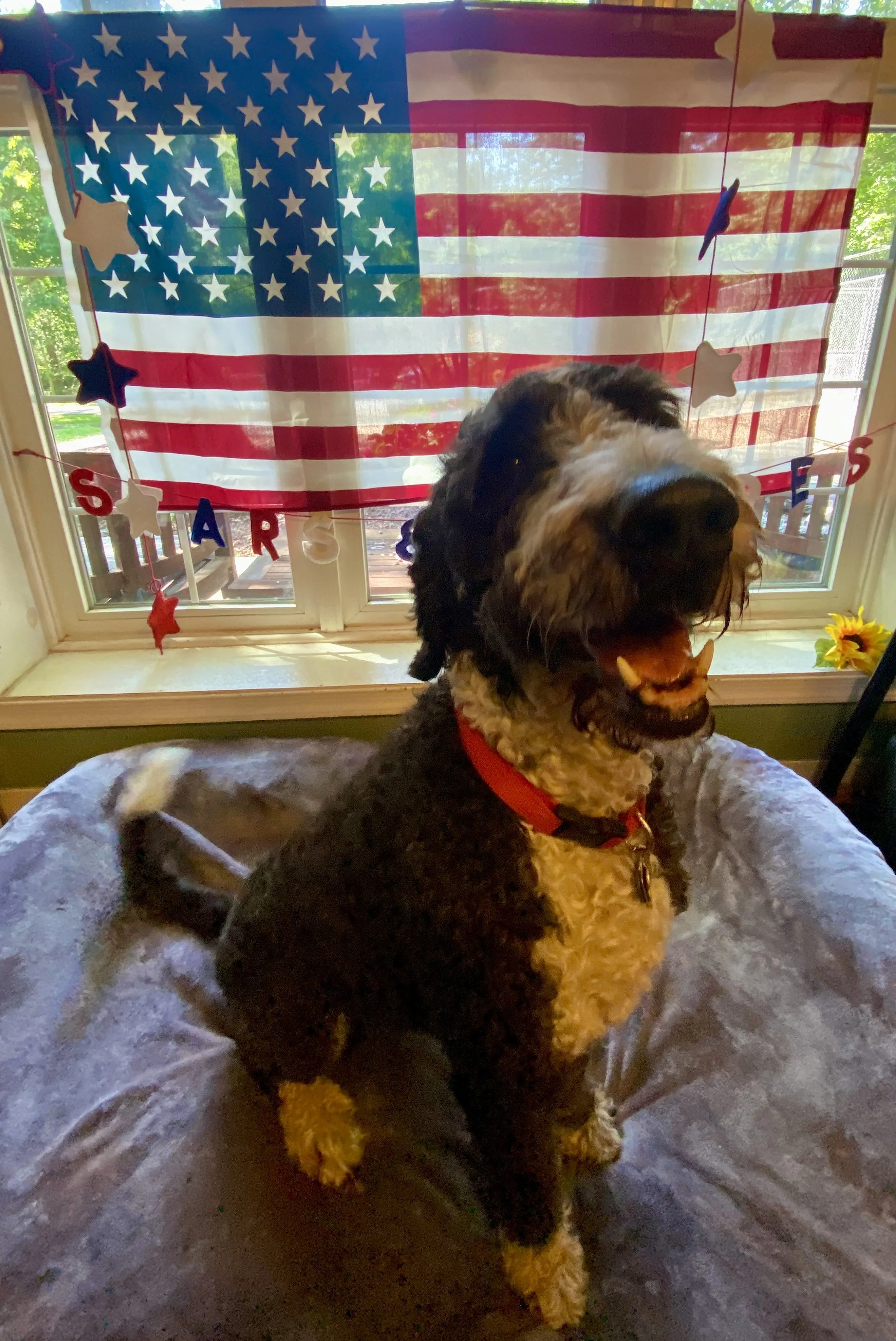 Independence Day 2025 