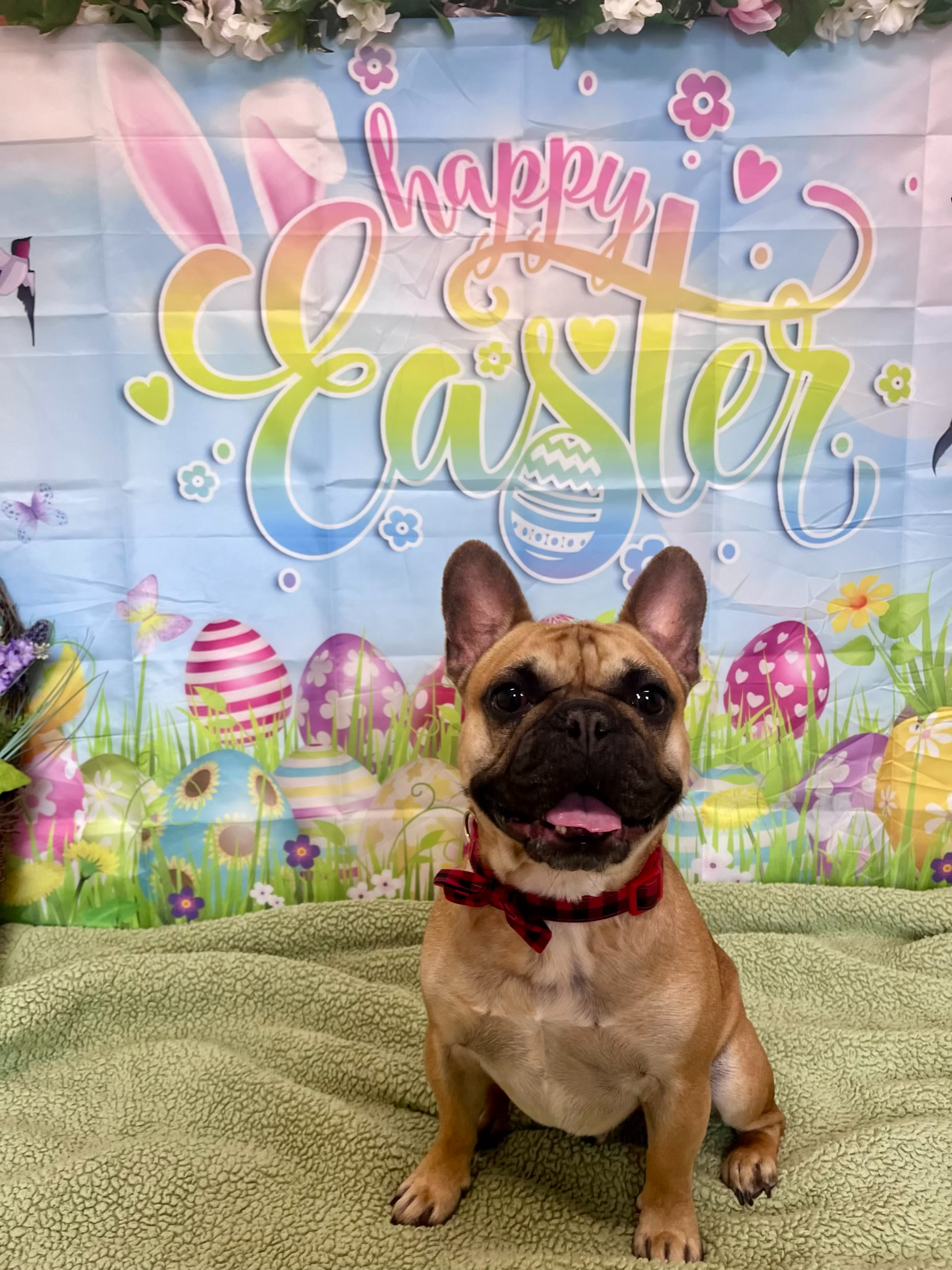 Easter 2026 