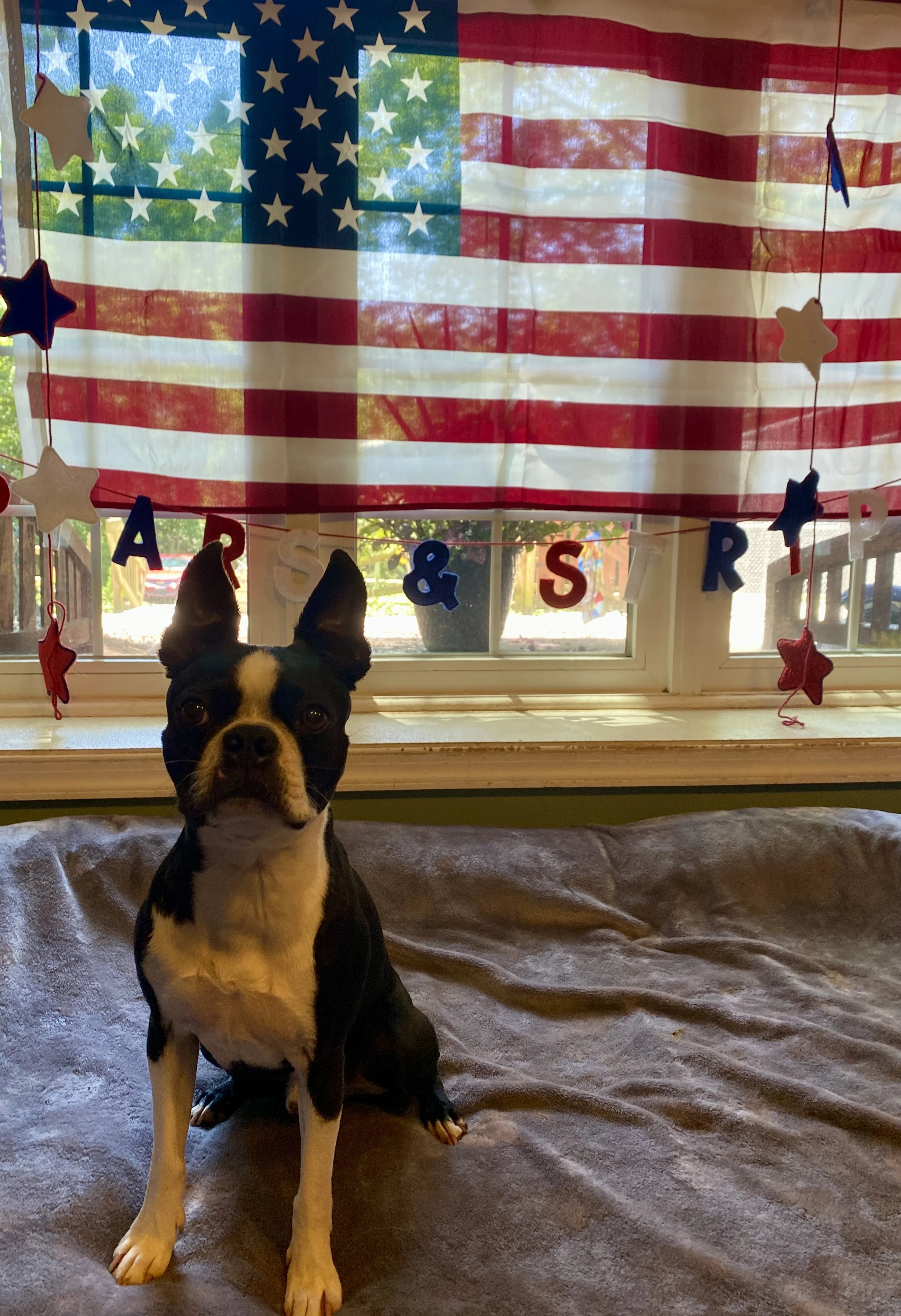 Independence Day 2025 