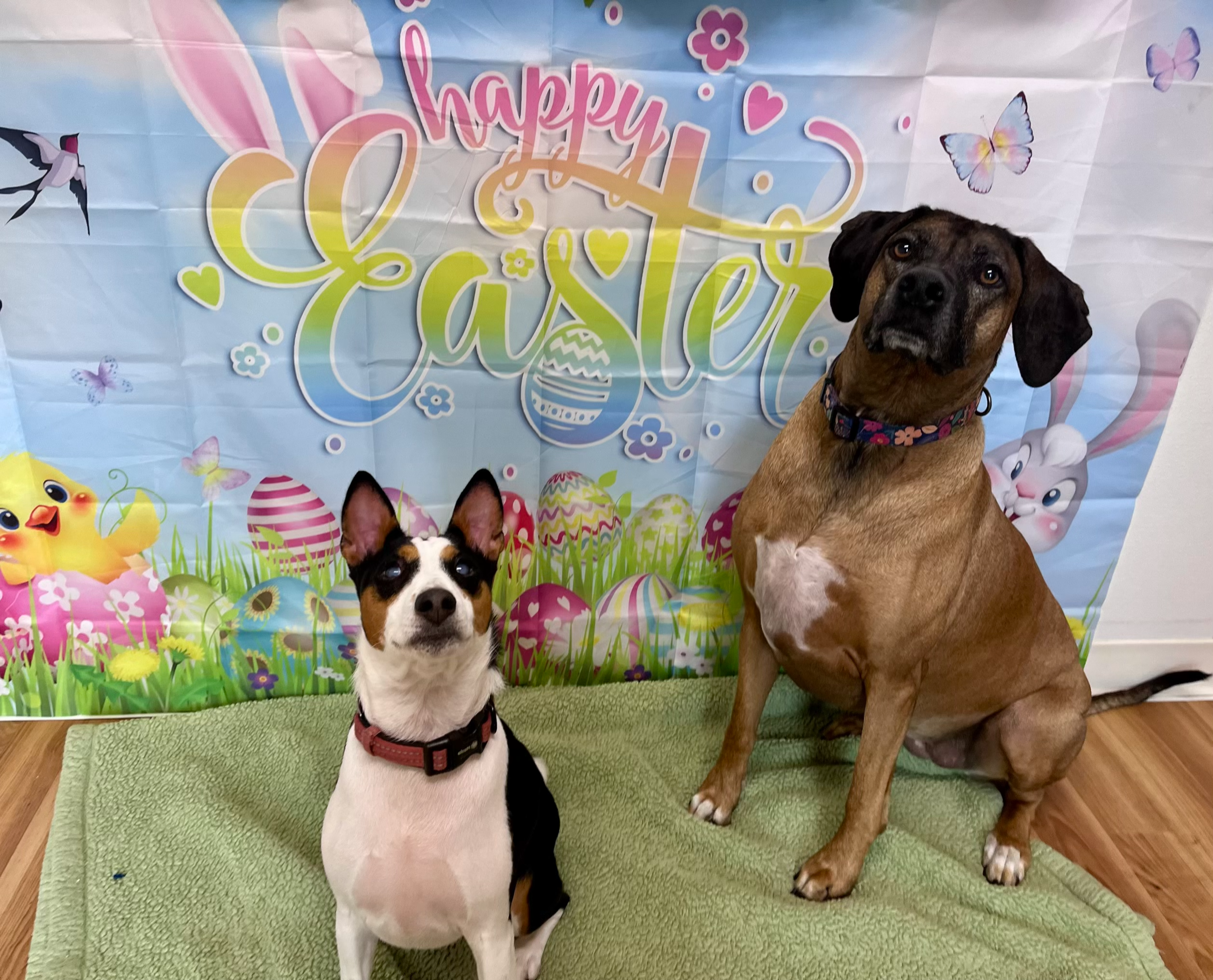Easter 2026 