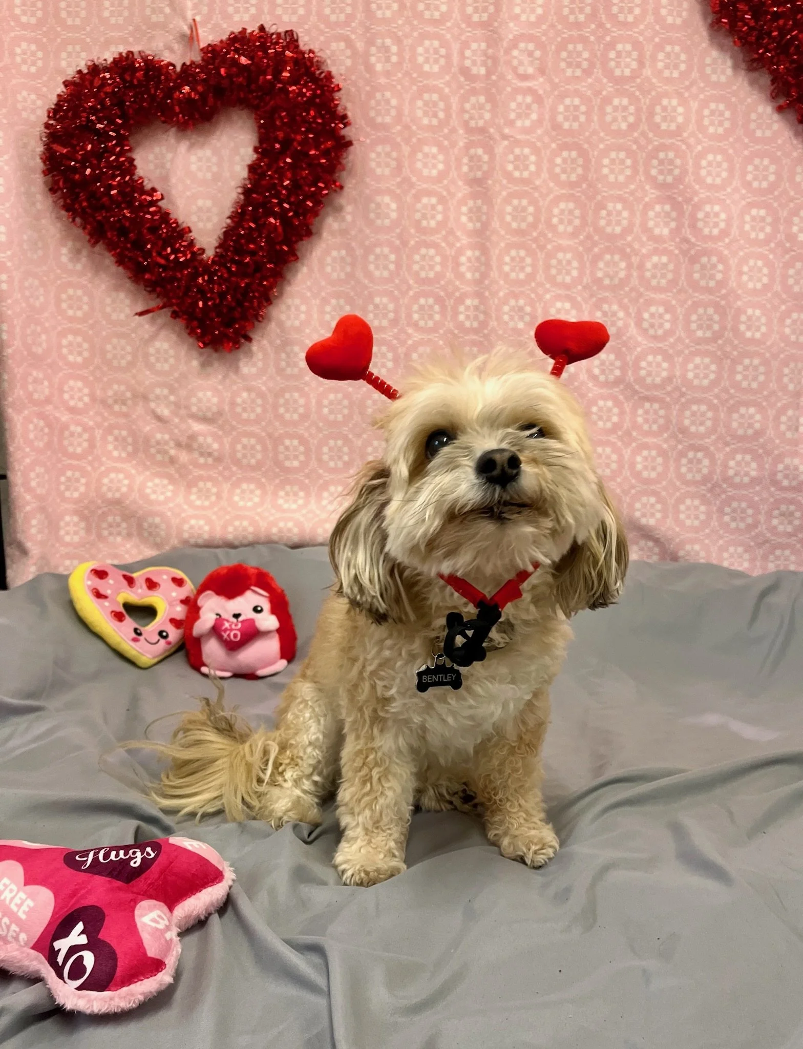 Valentine's Day 2025 