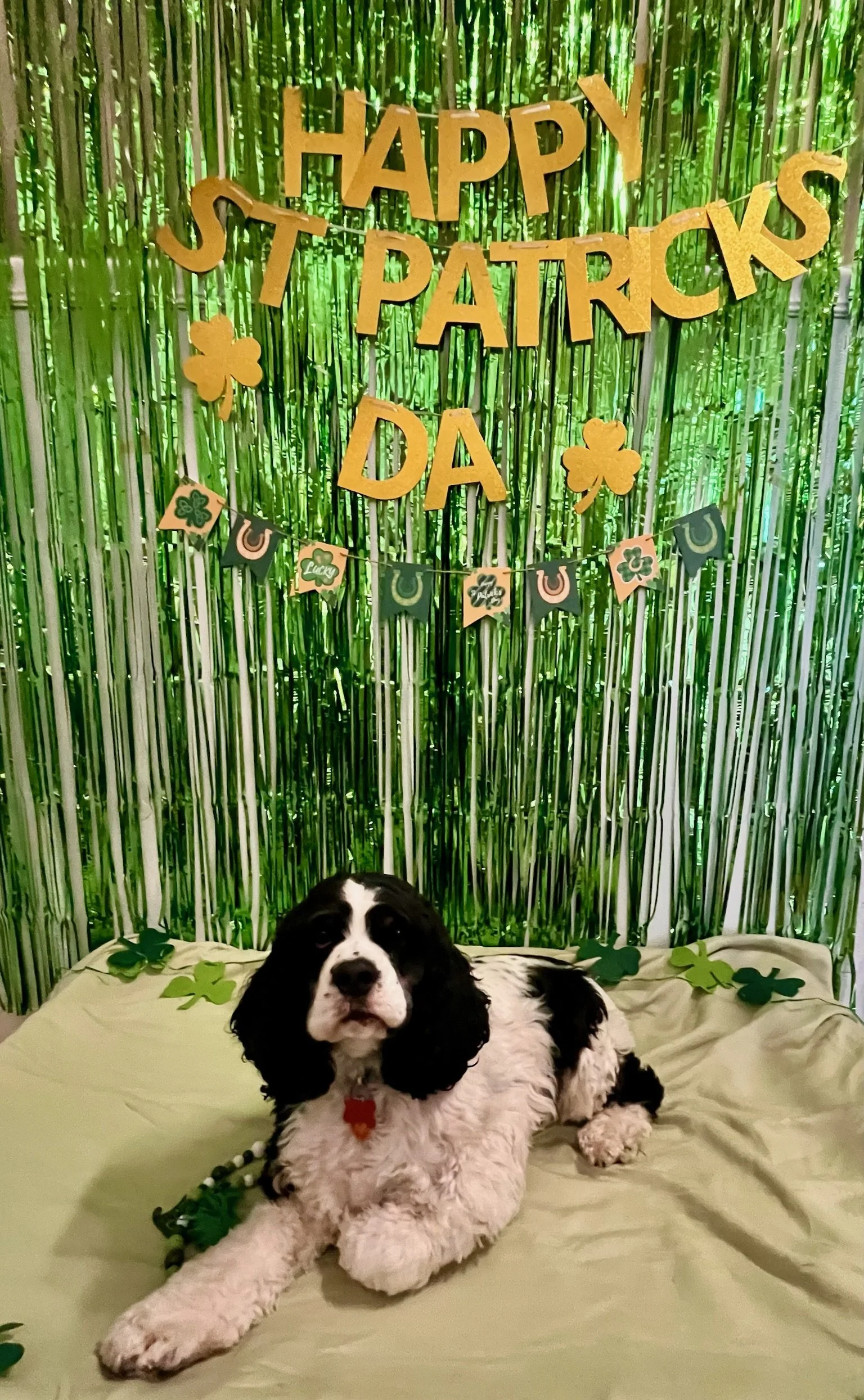 St. Patrick's Day 2025 