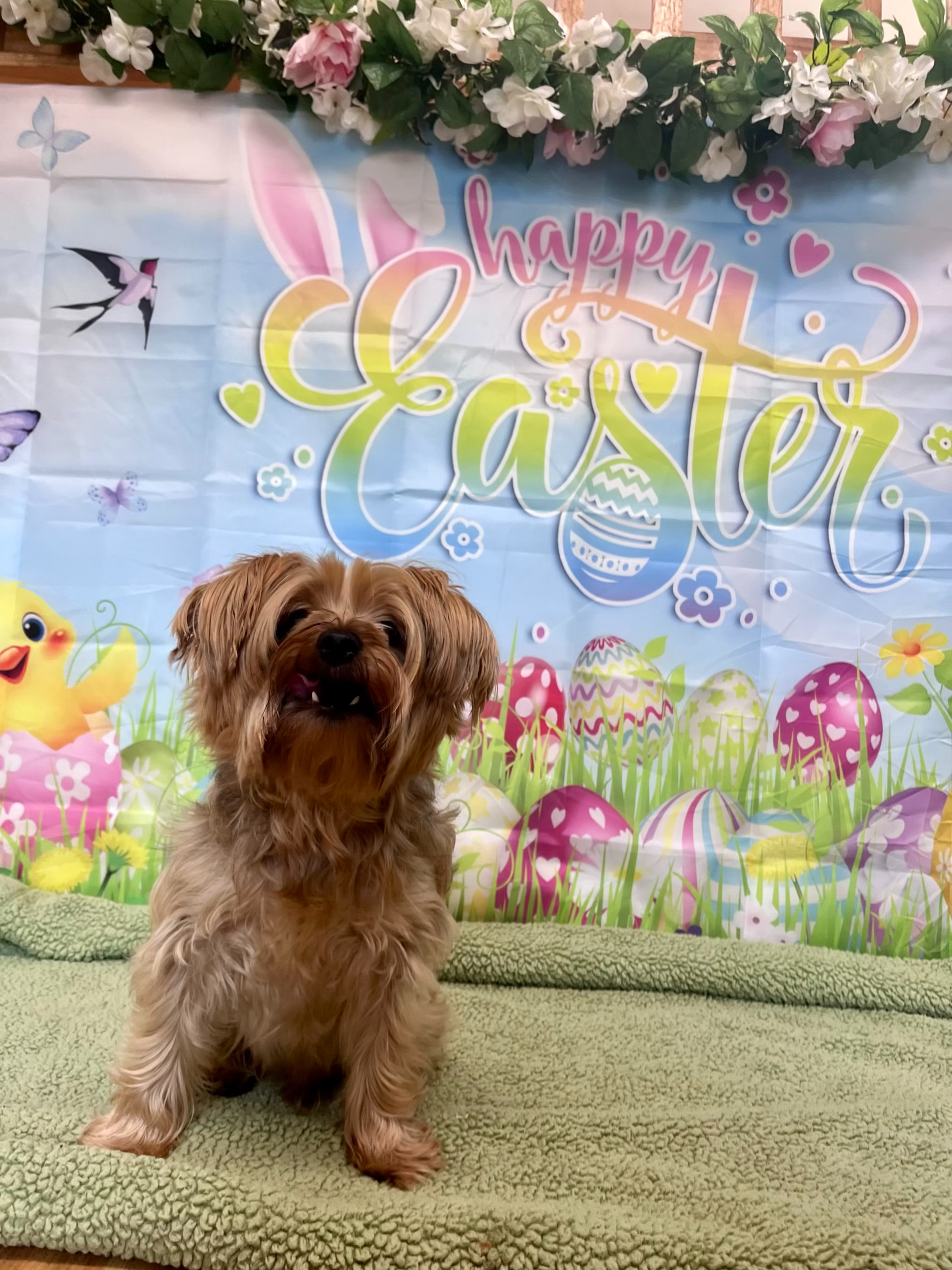 Easter 2026 