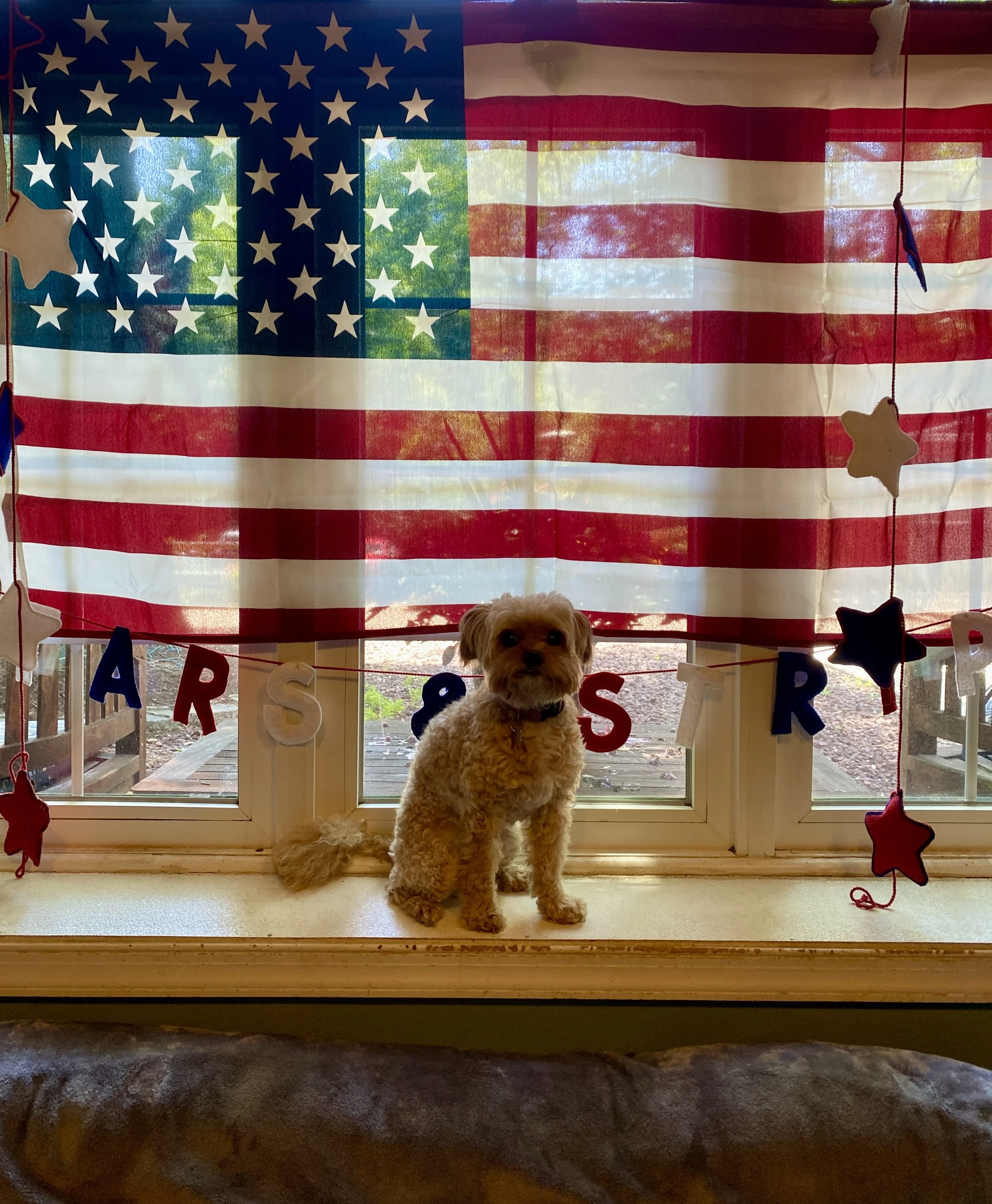 Independence Day 2025 