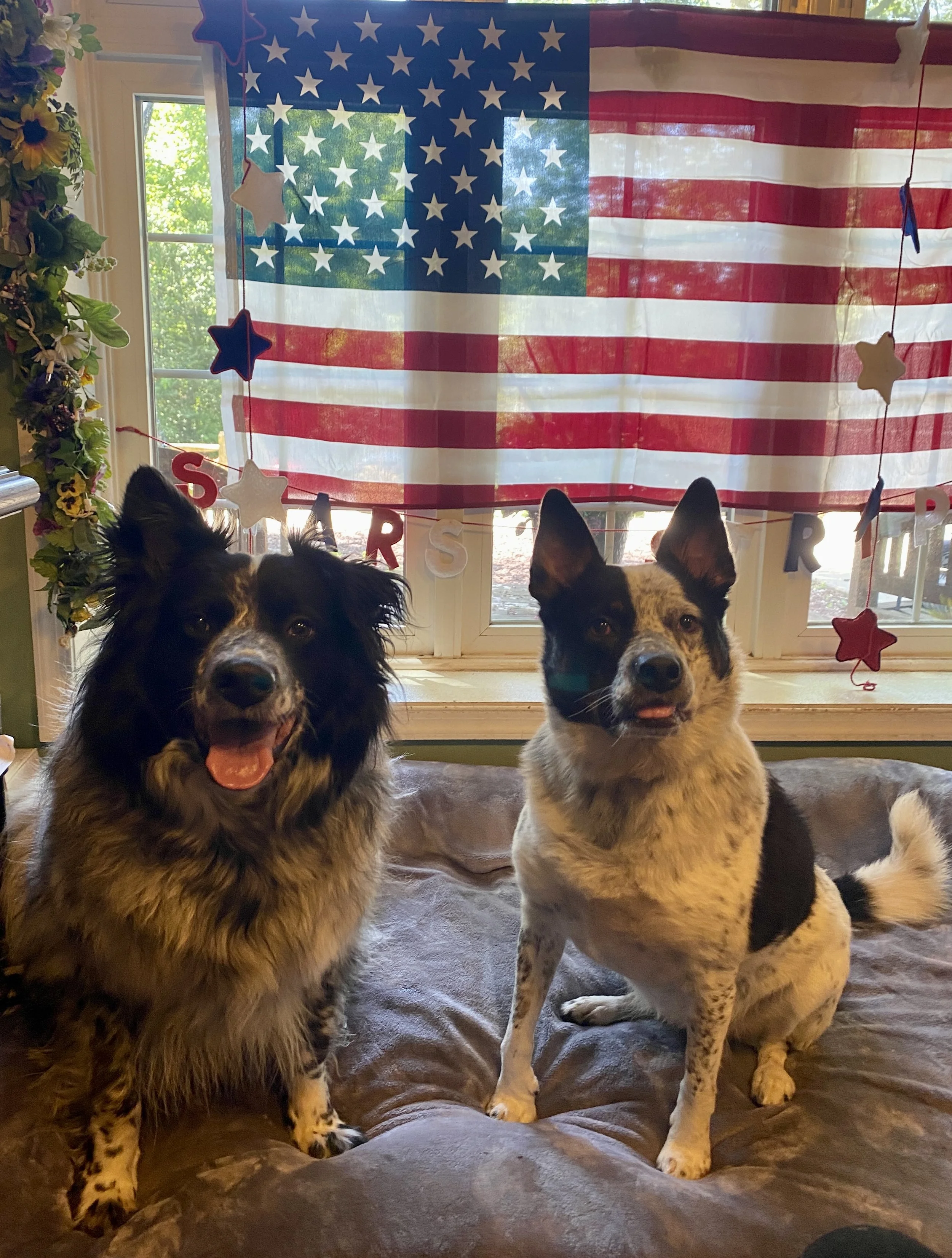 Independence Day 2025 