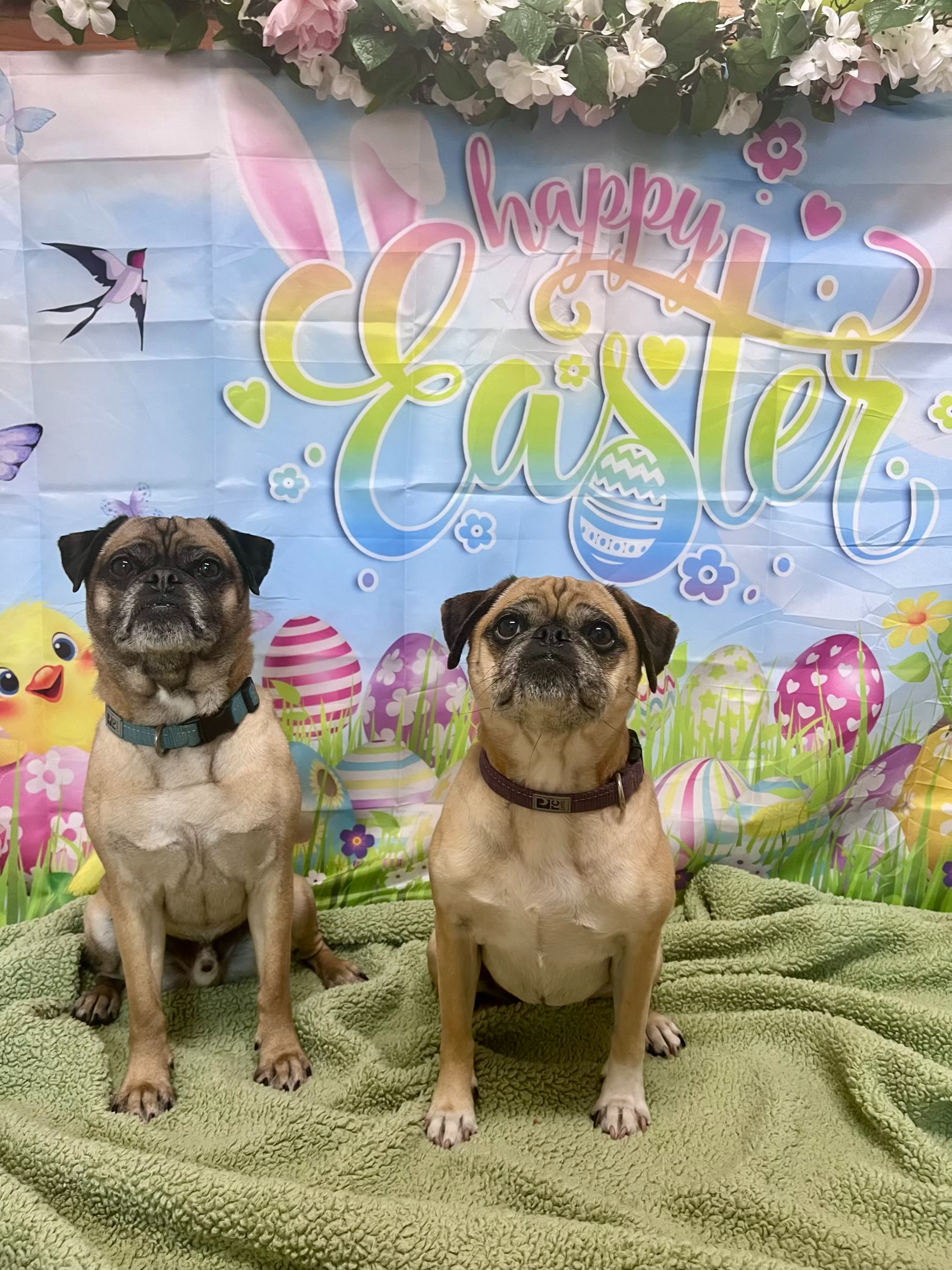 Easter 2026 