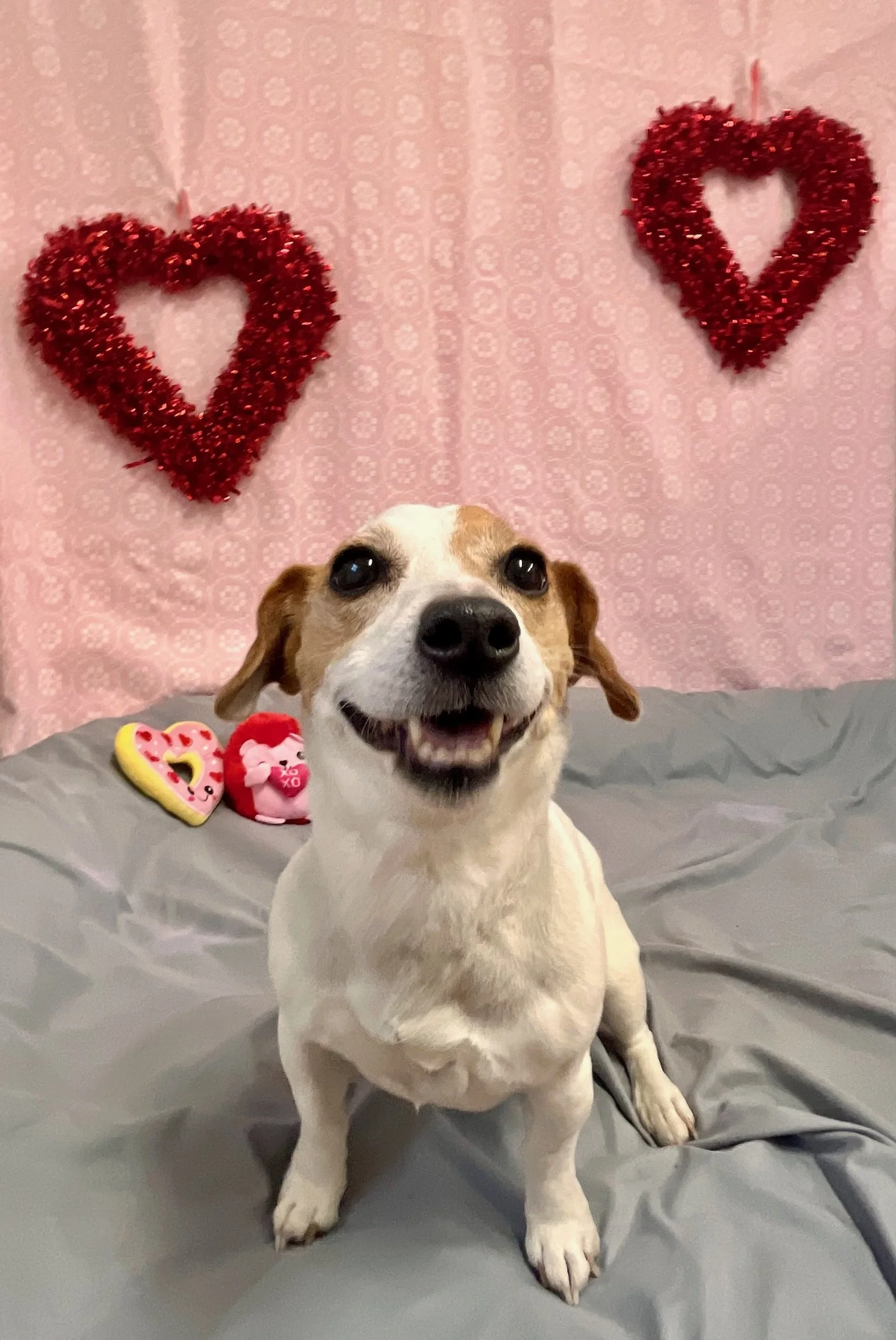 Valentine's Day 2025 