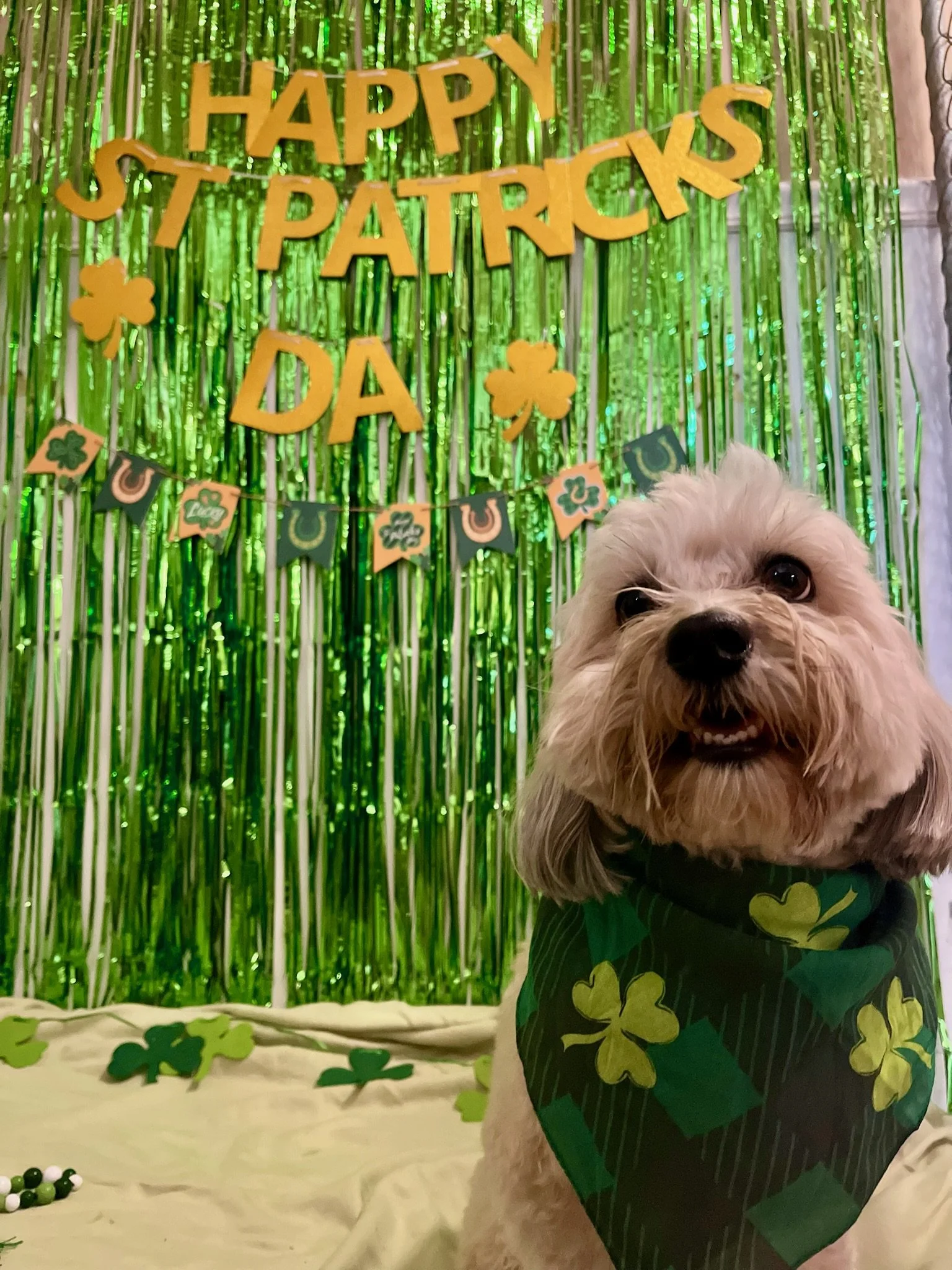 St. Patrick's Day 2025 