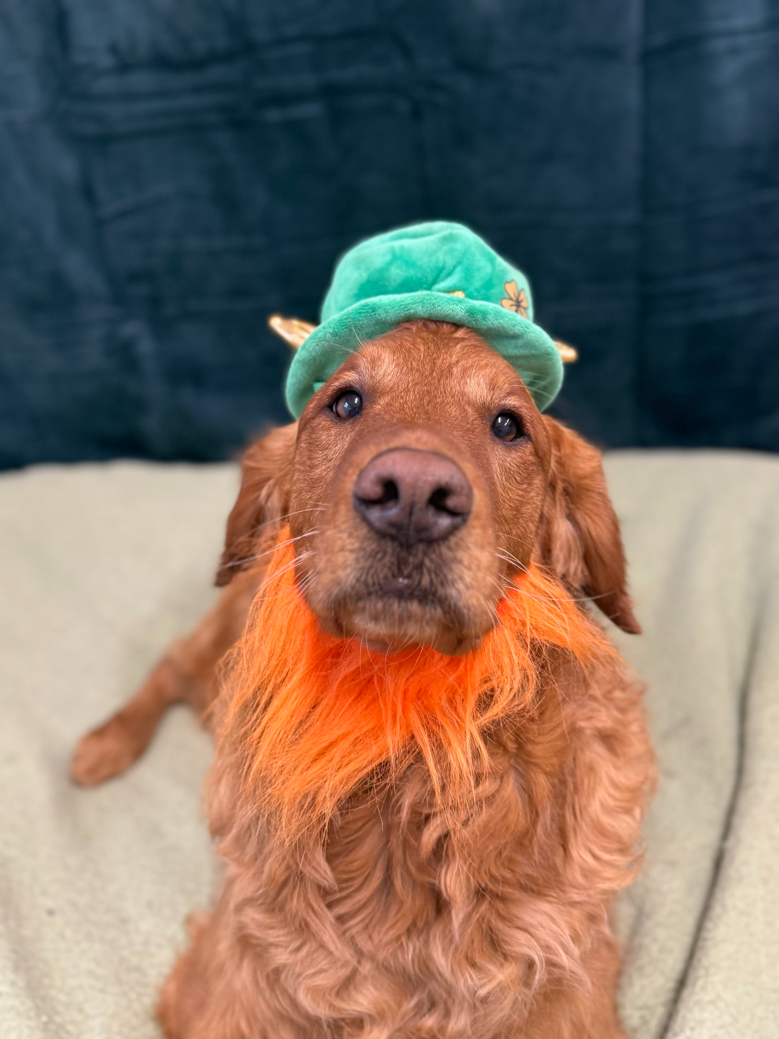 St. Patrick's Day 2026 