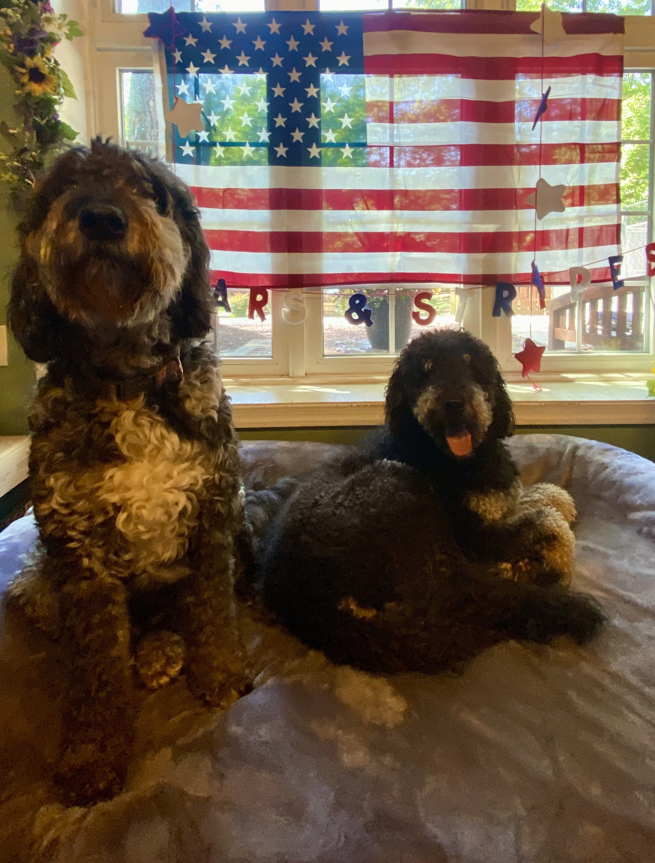 Independence Day 2025 