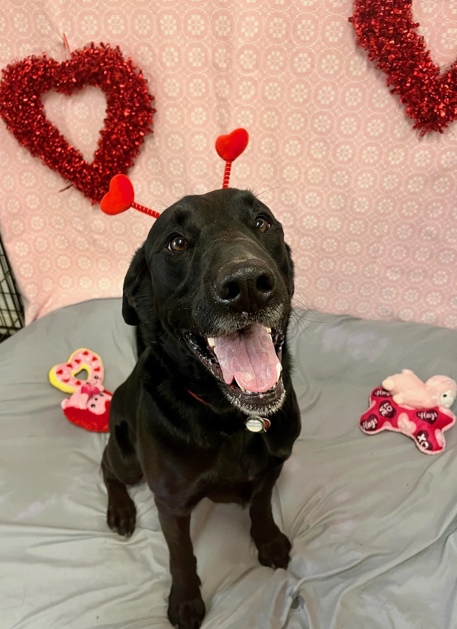 Valentine's Day 2025 