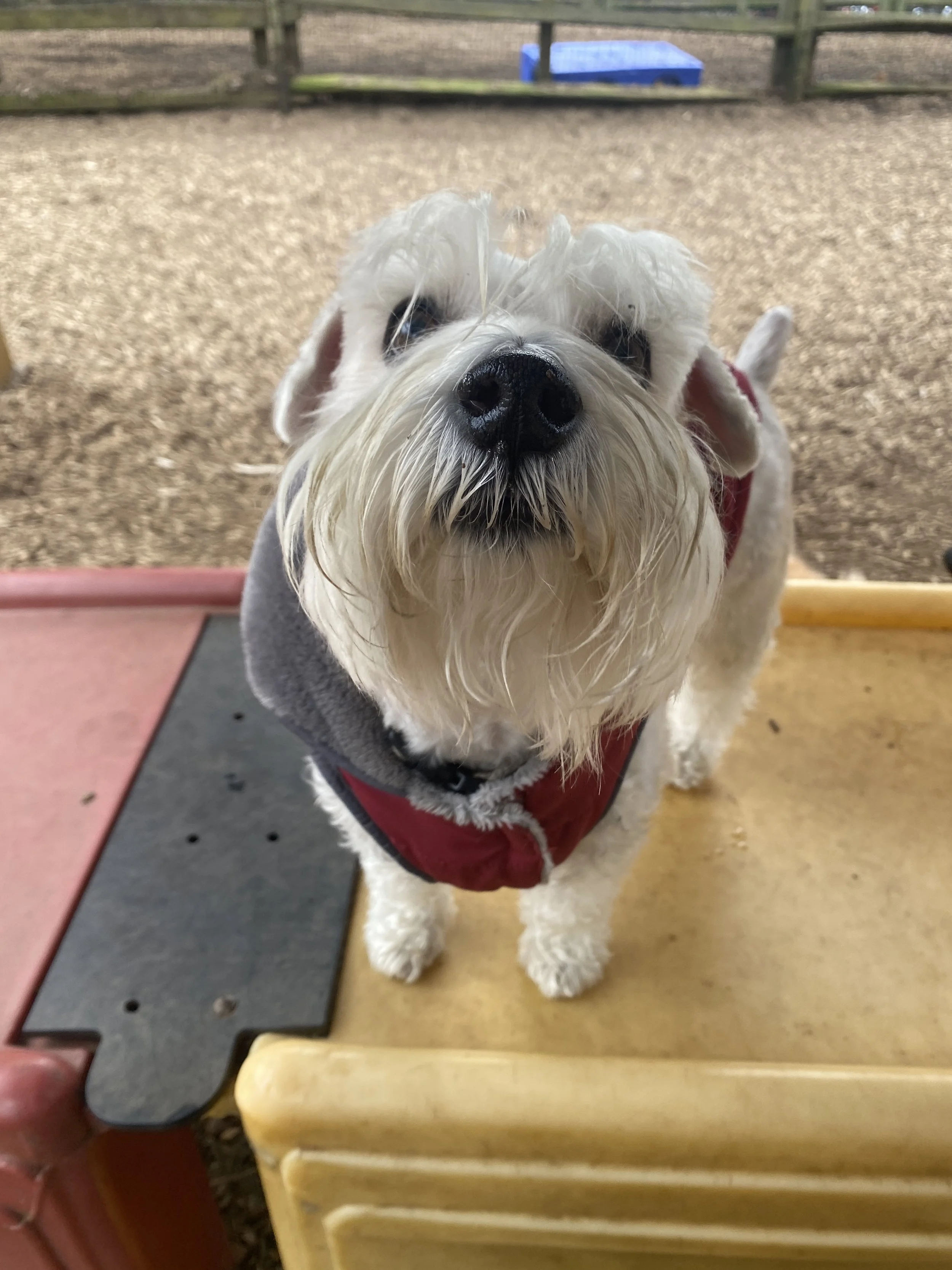 IMG_2912.JPG