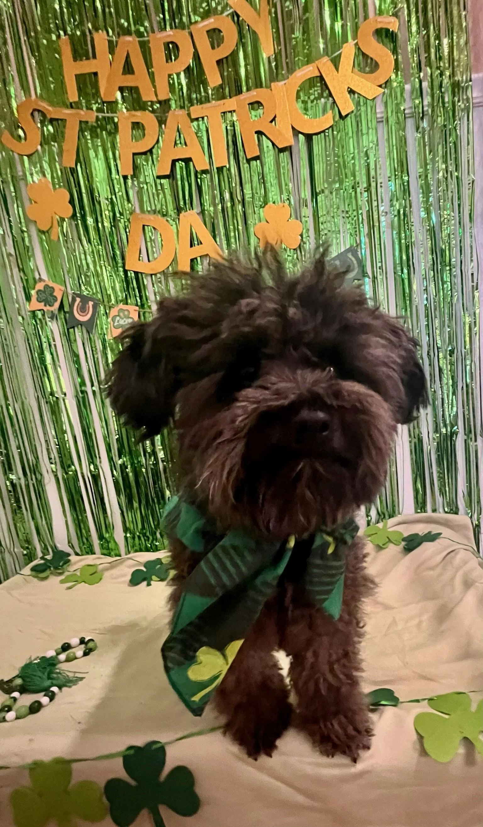 St. Patrick's Day 2025 