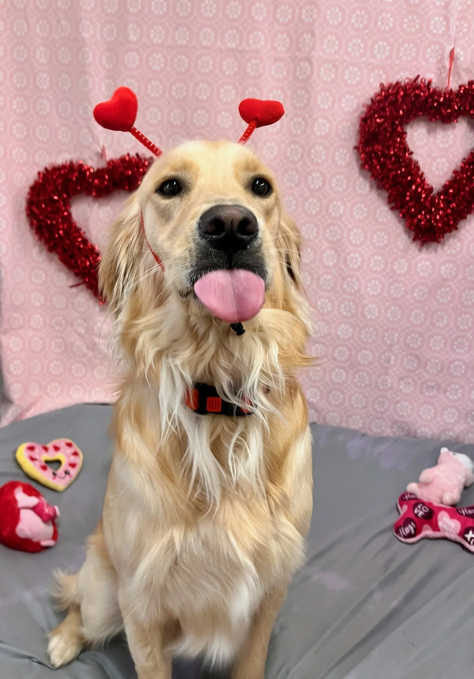 Valentine's Day 2025 