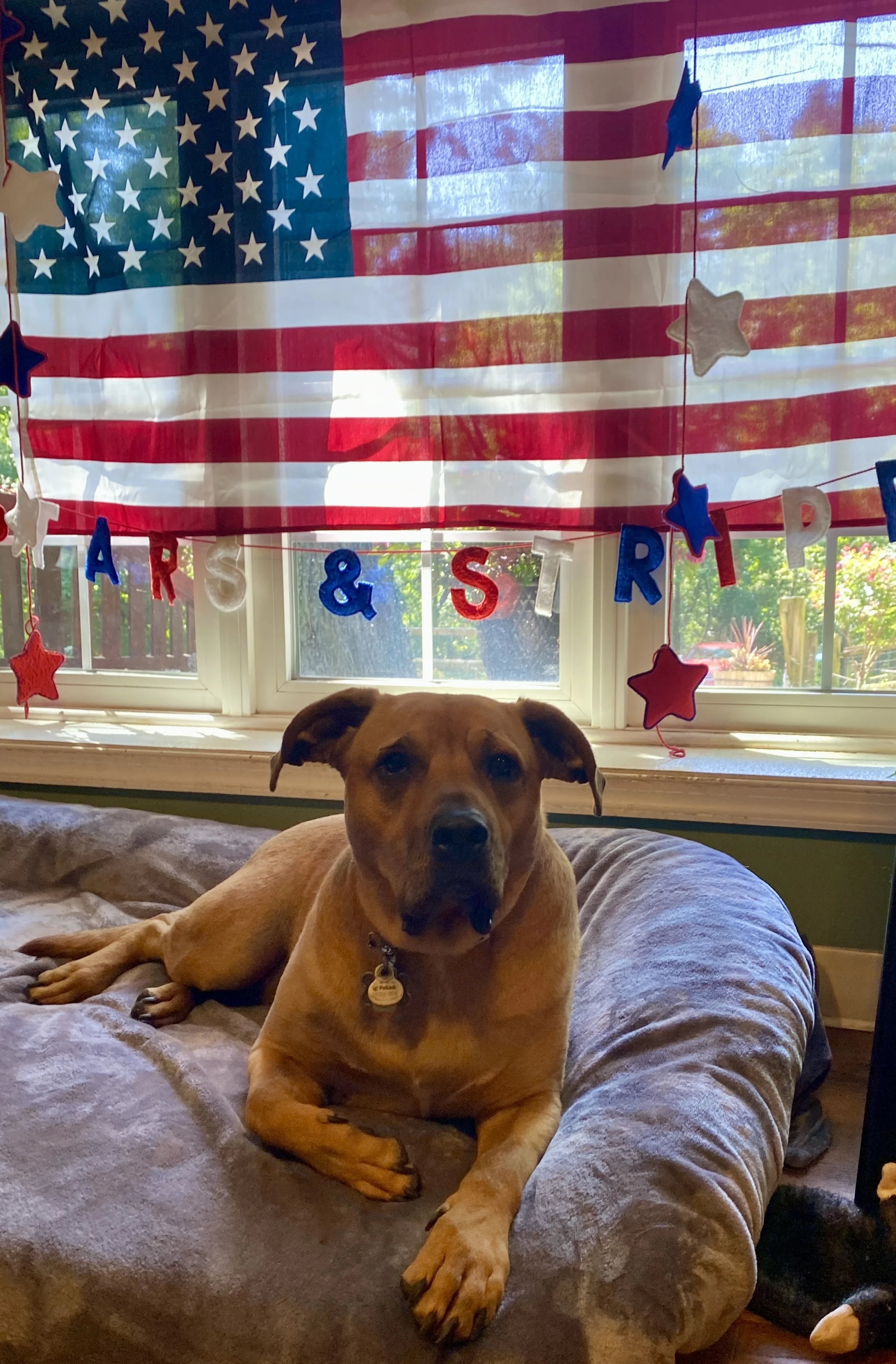 Independence Day 2025 