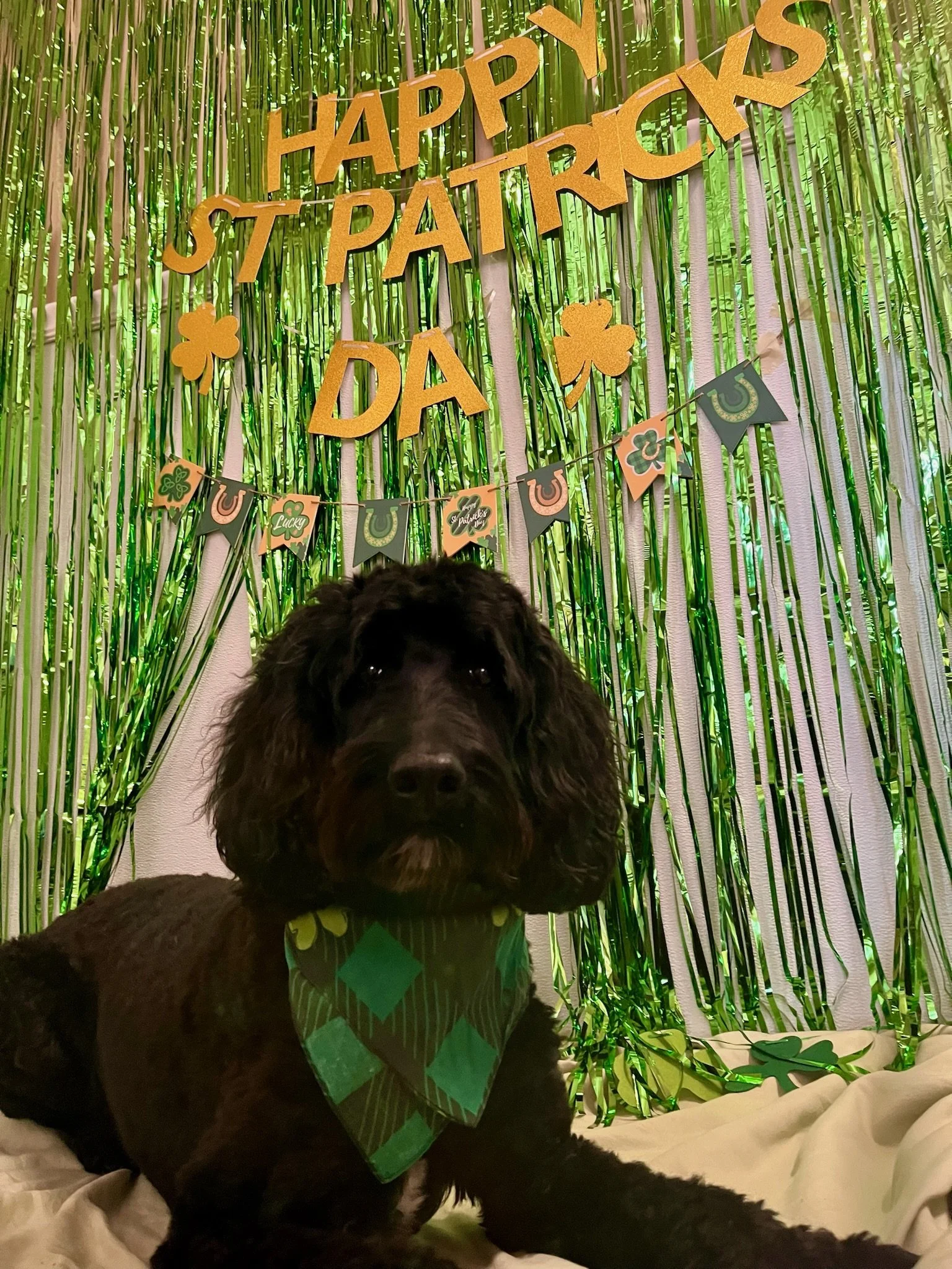 St. Patrick's Day 2025 