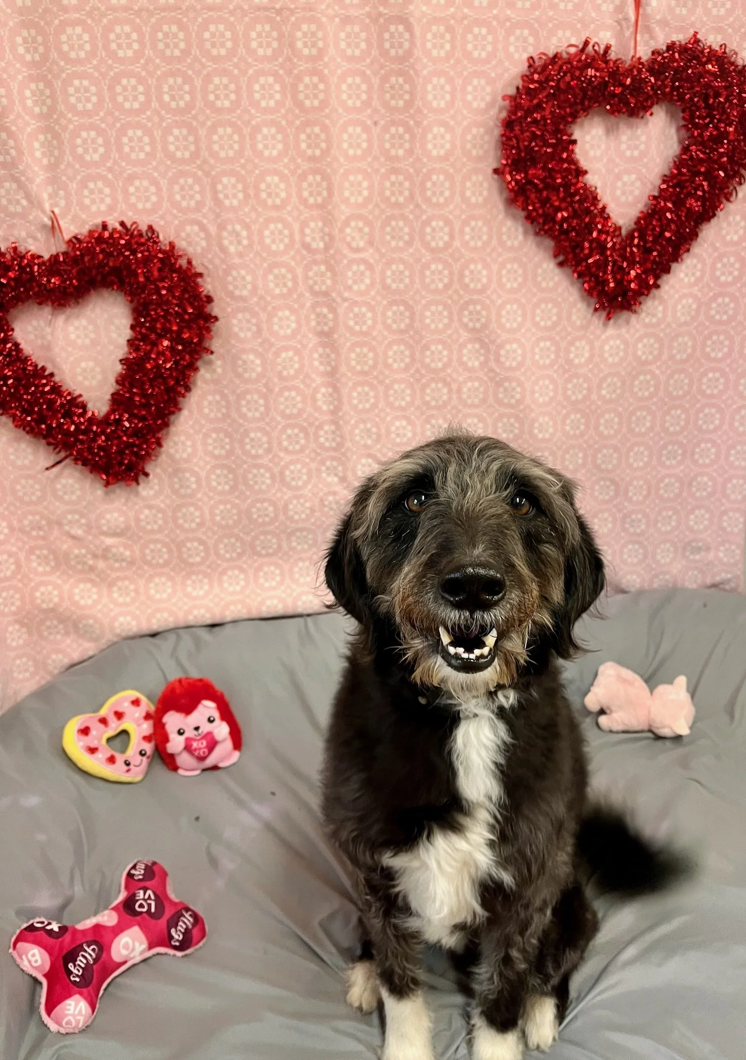 Valentine's Day 2025 