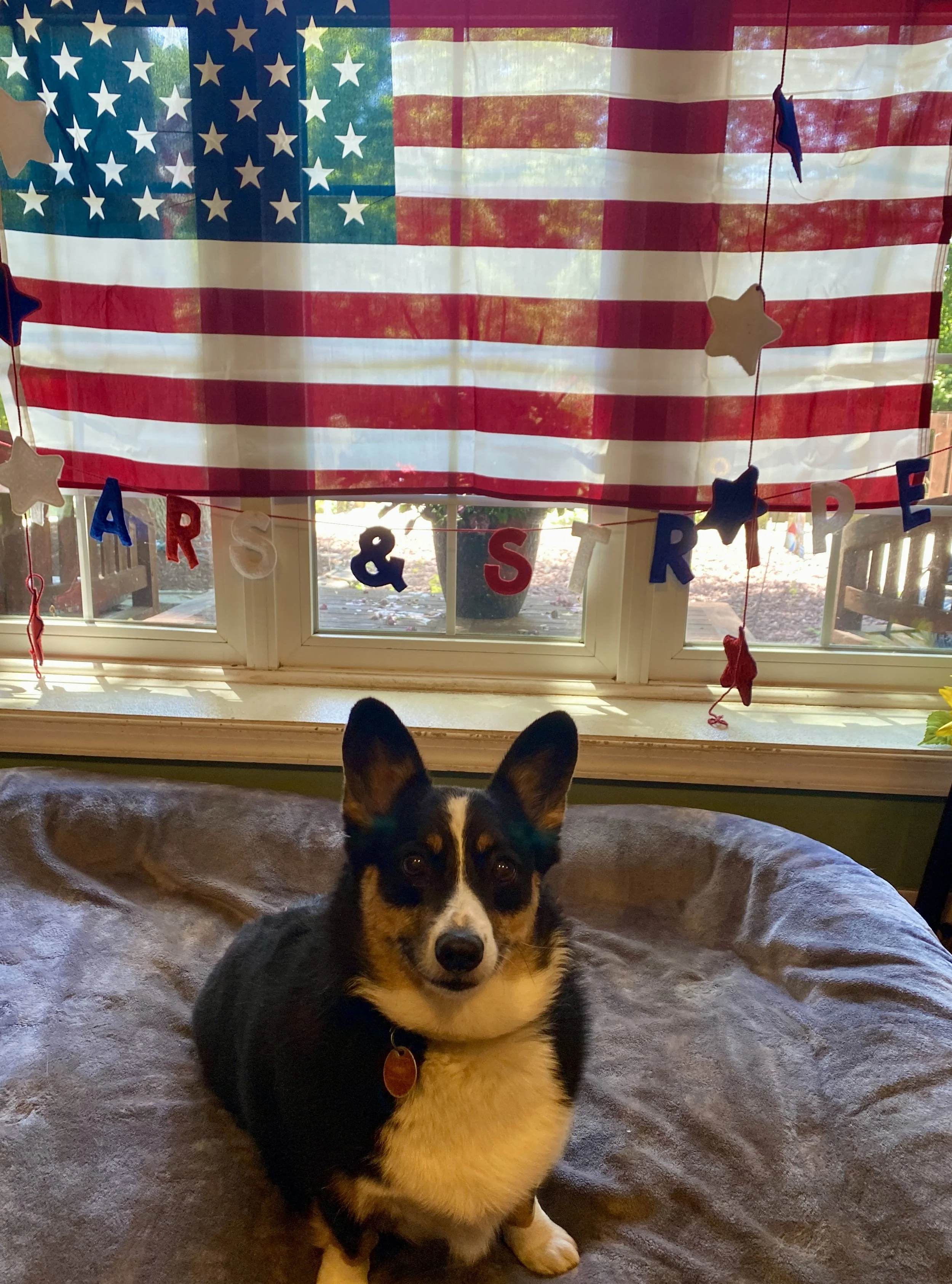 Independence Day 2025 