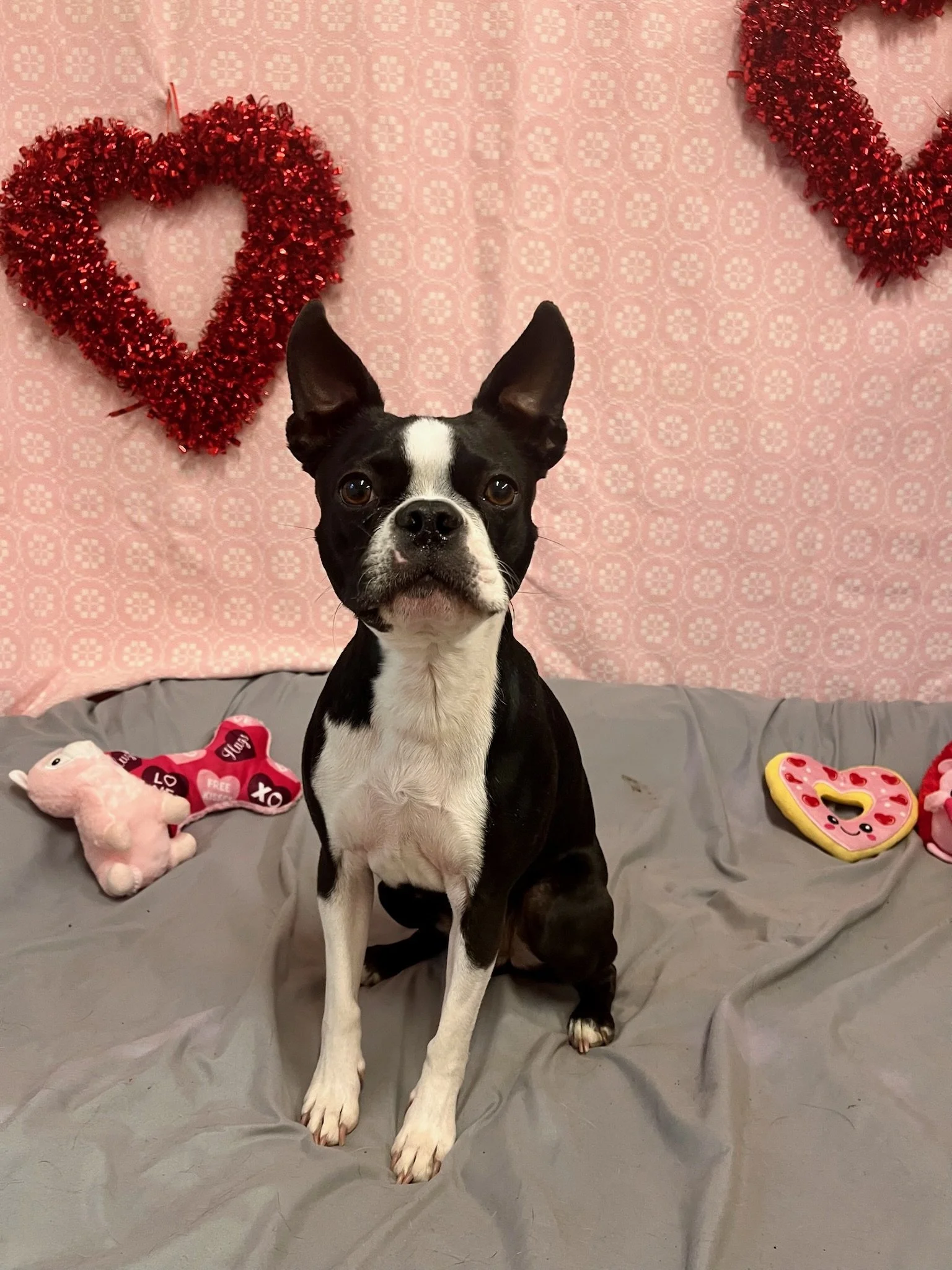 Valentine's Day 2025 