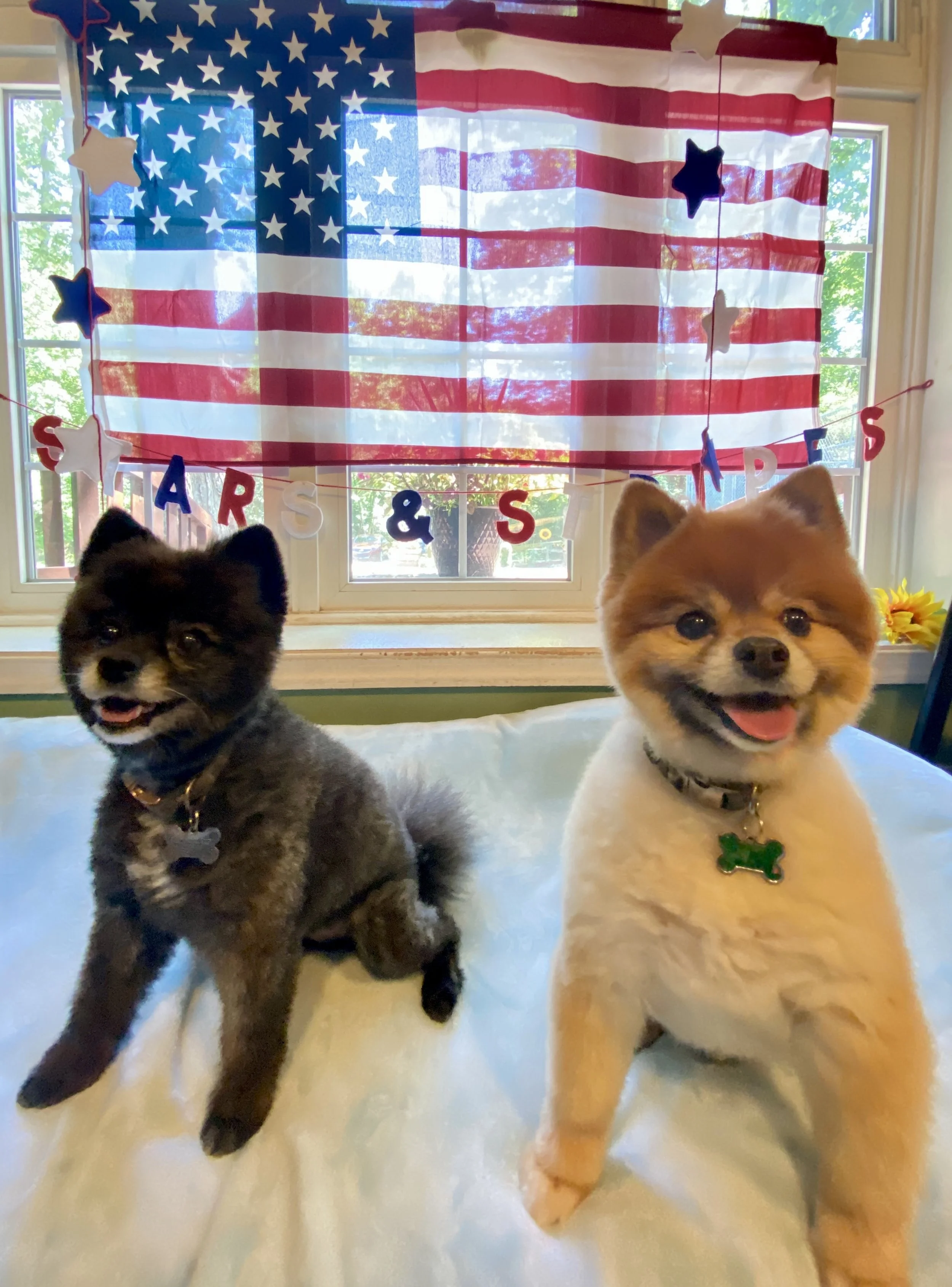 Independence Day 2025 