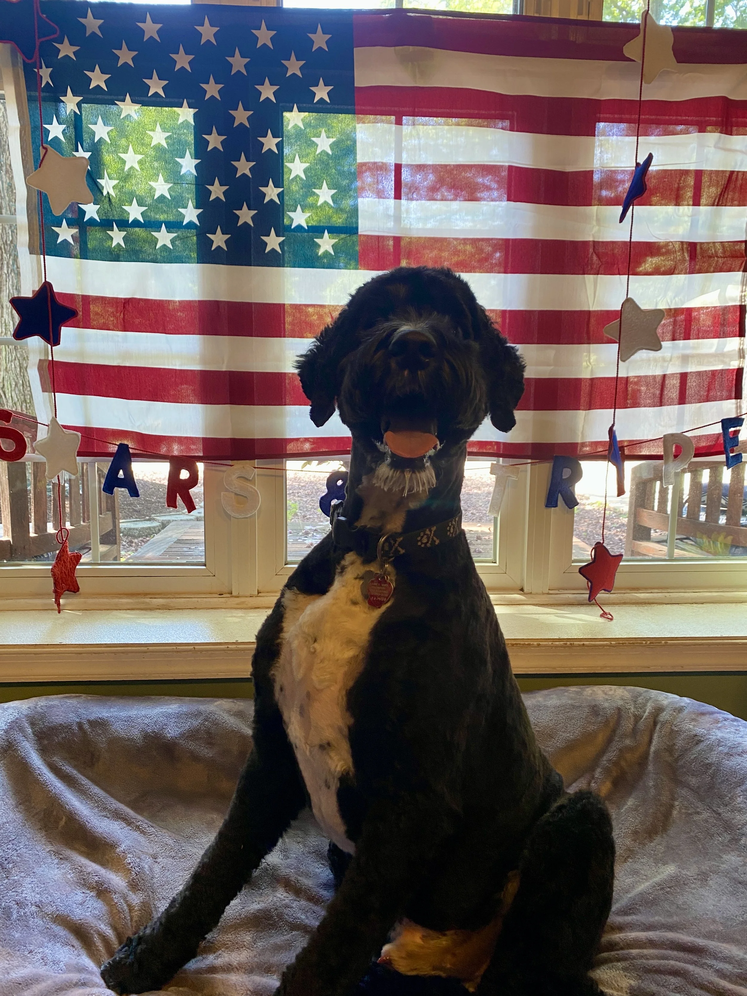 Independence Day 2025 