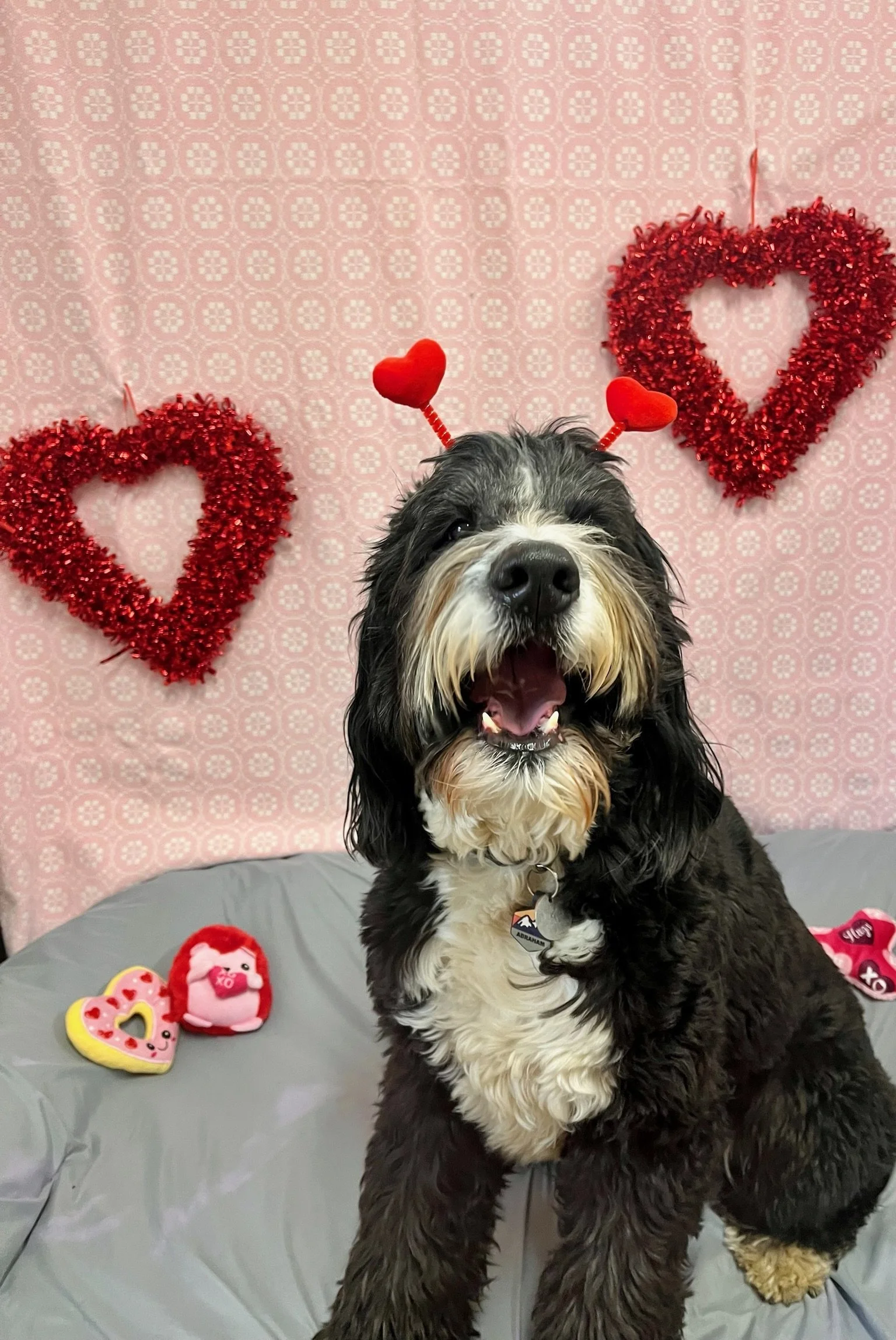 Valentine's Day 2025 