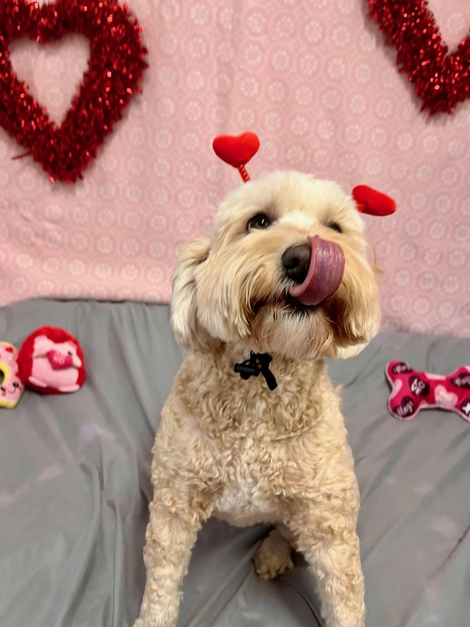 Valentine's Day 2025 