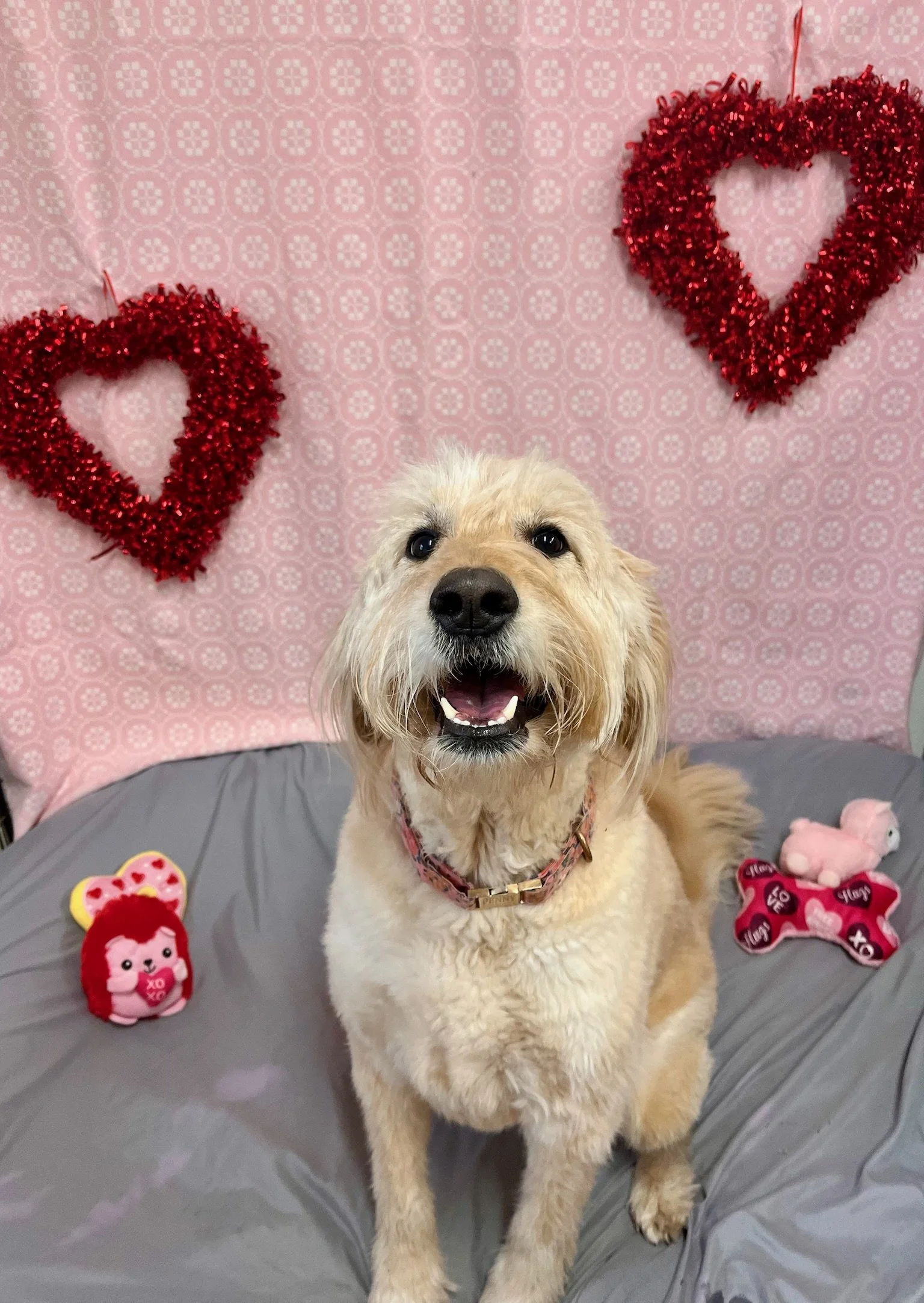 Valentine's Day 2025 