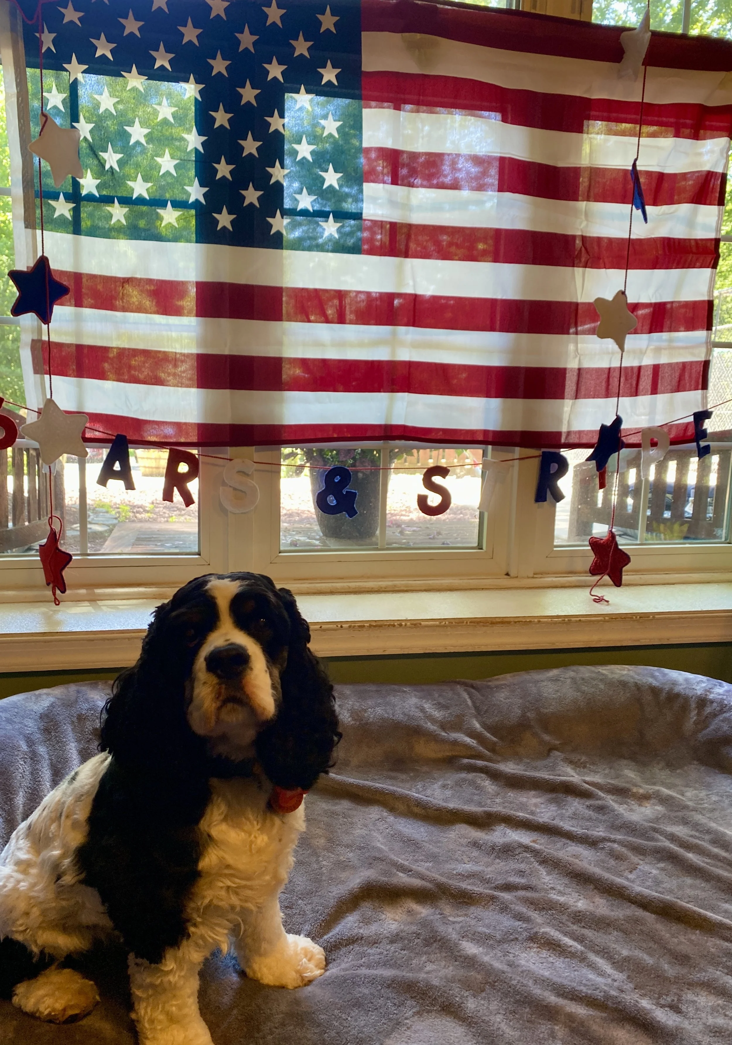 Independence Day 2025 