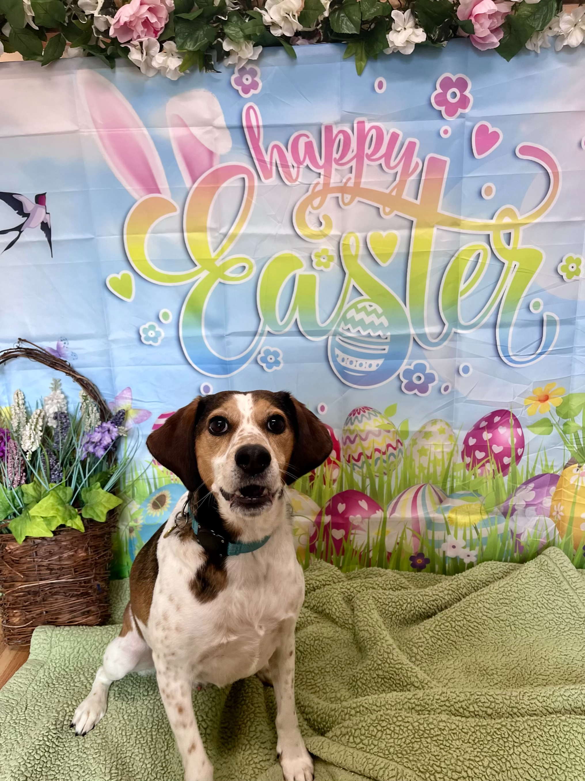 Easter 2026 