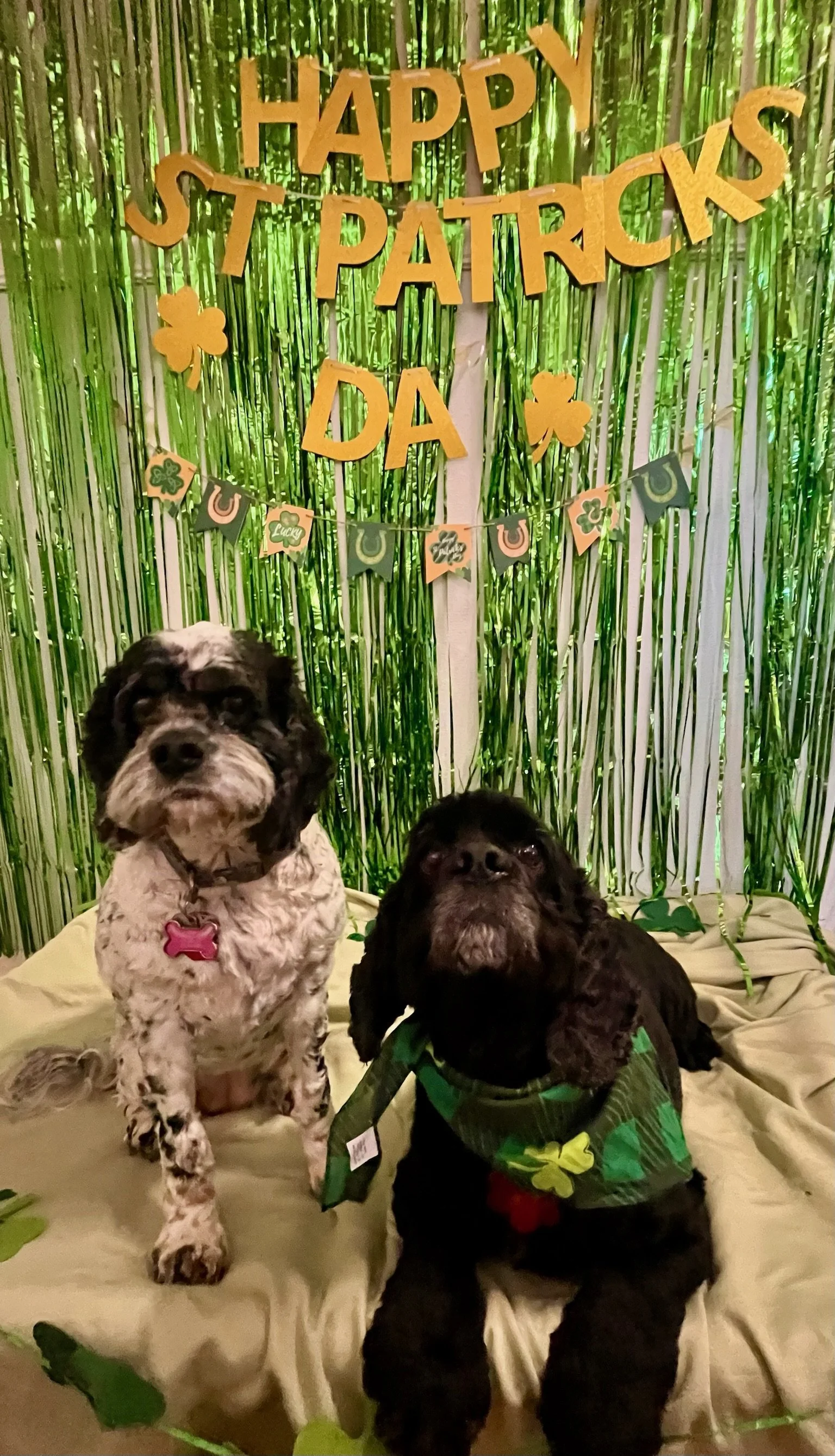 St. Patrick's Day 2025 