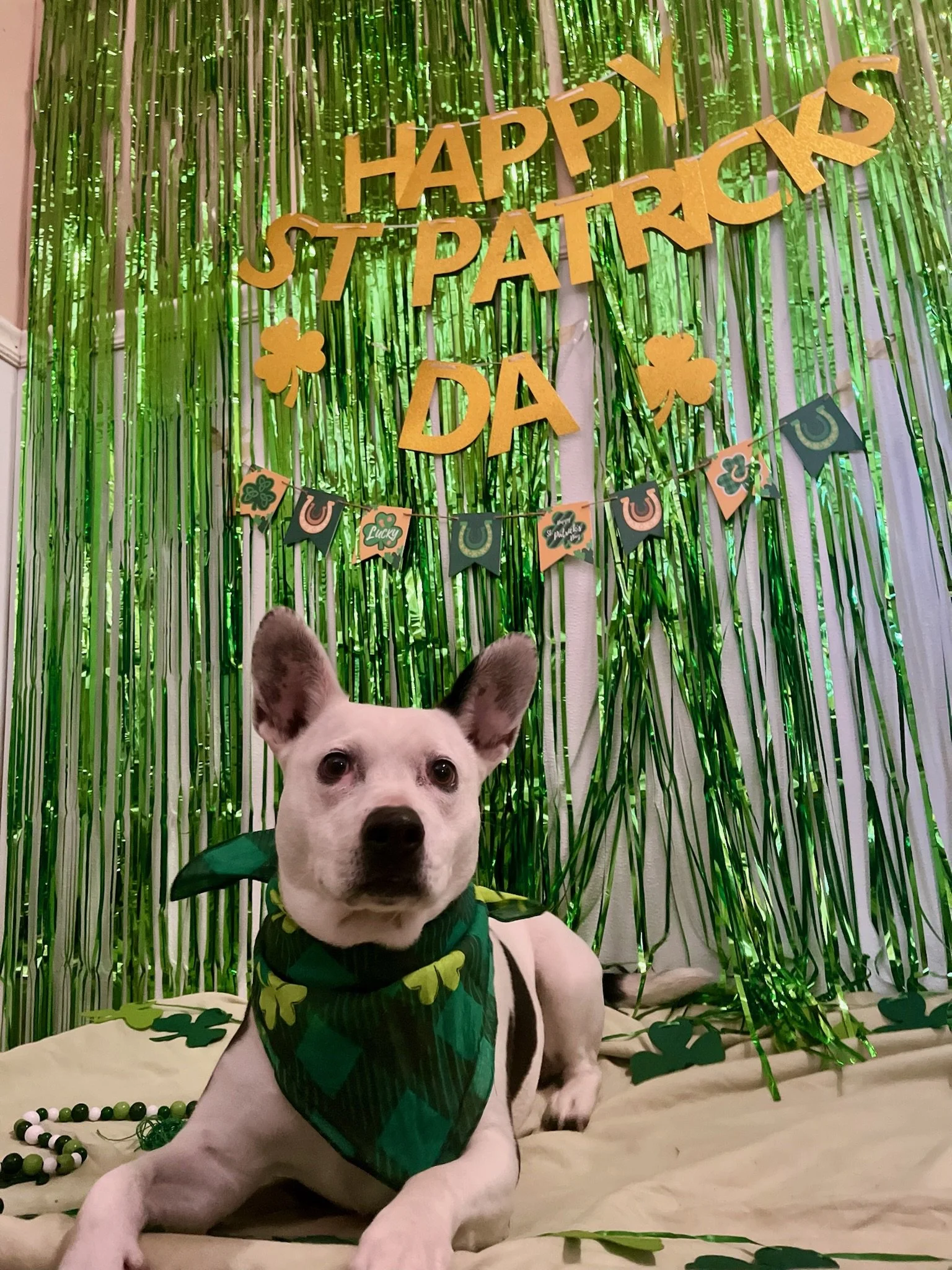 St. Patrick's Day 2025 