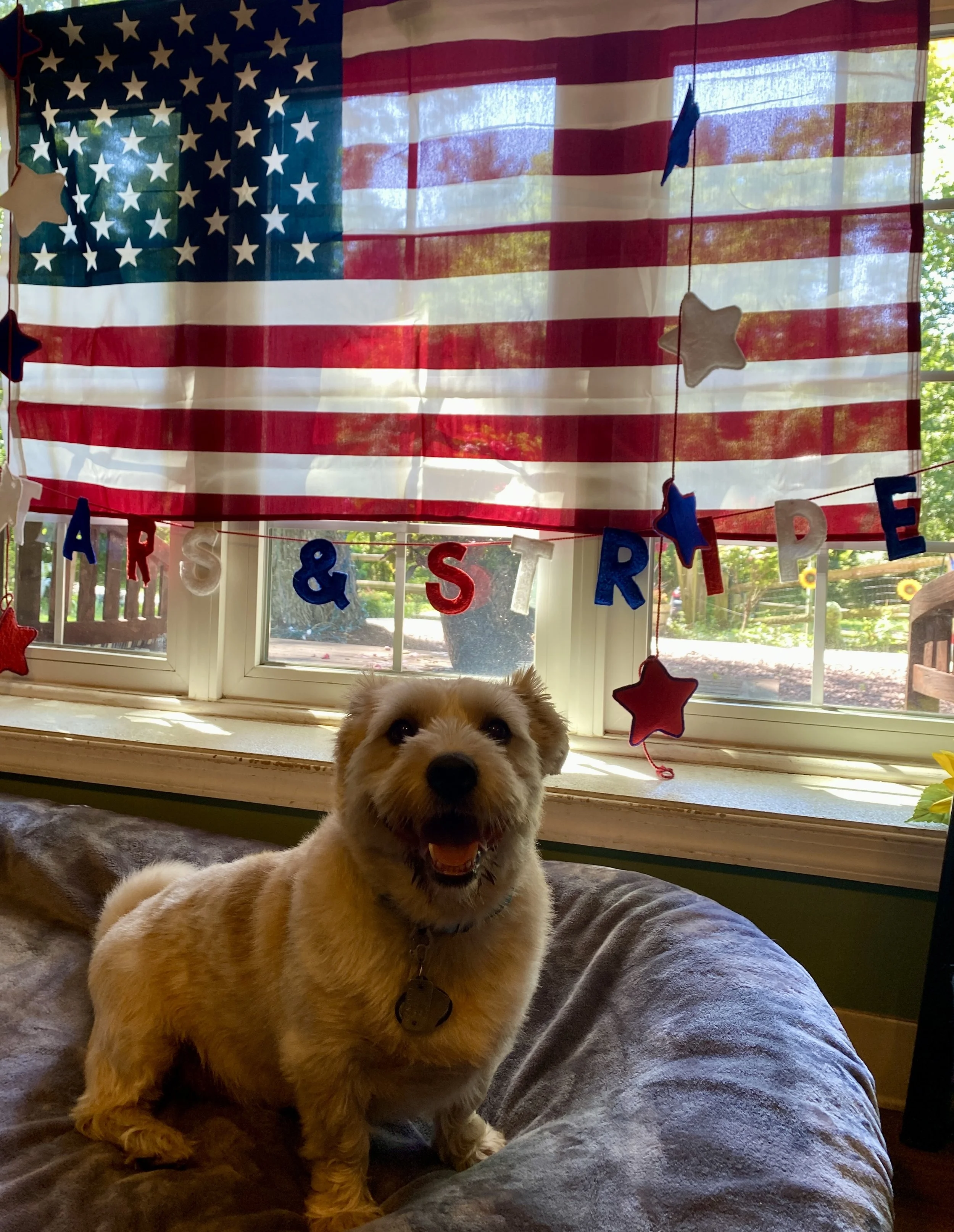 Independence Day 2025 