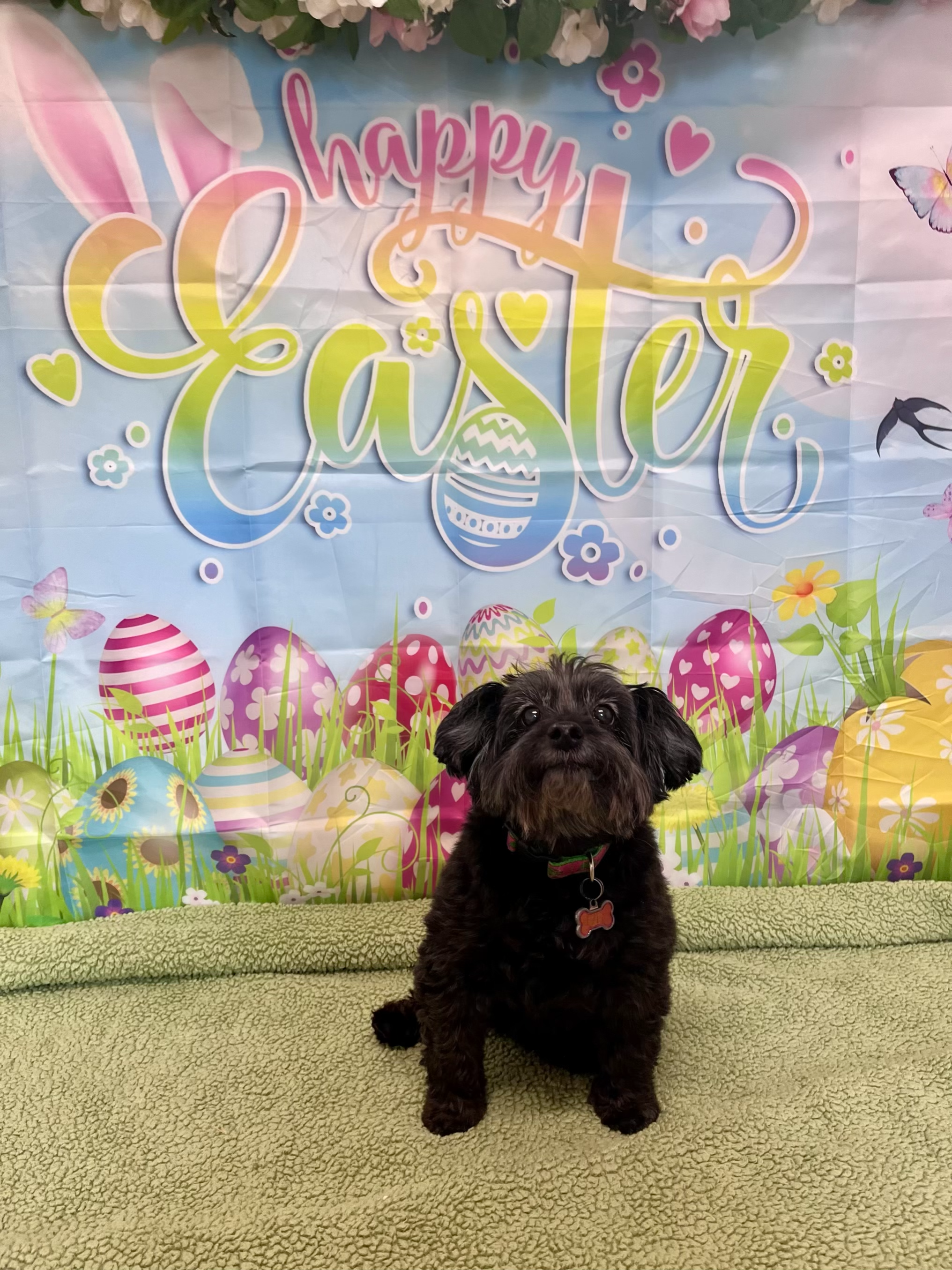 Easter 2026 