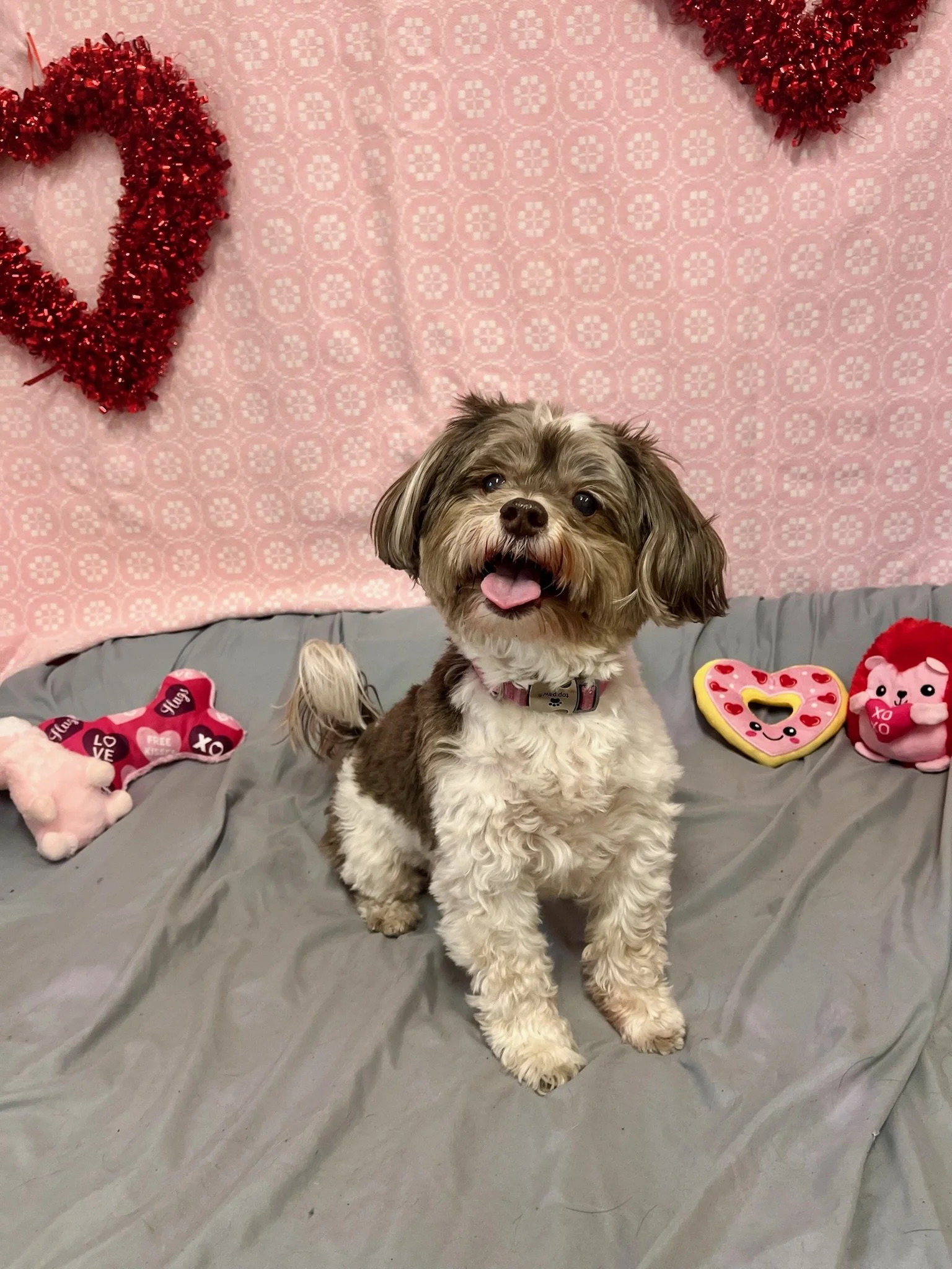 Valentine's Day 2025 