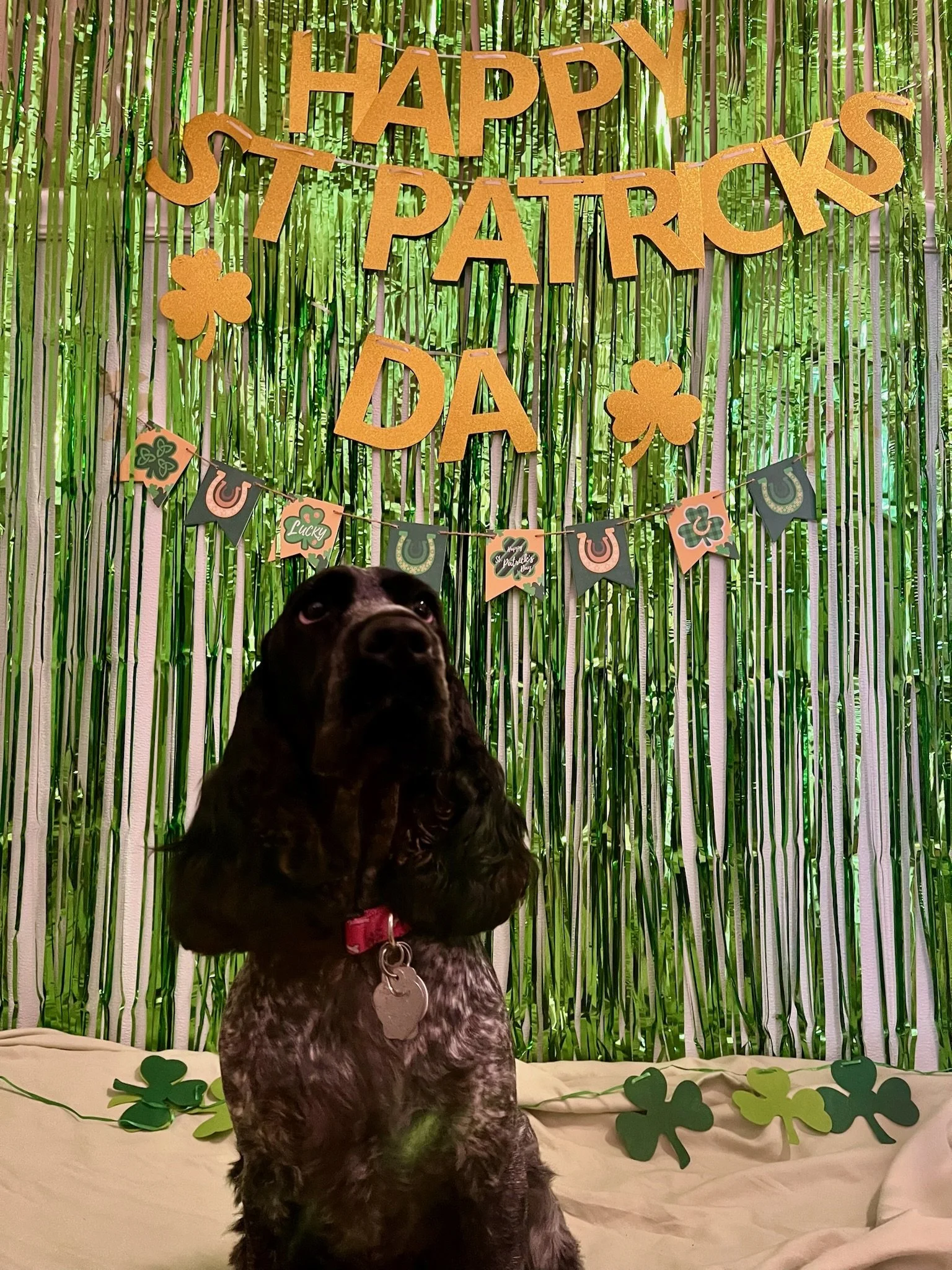 St. Patrick's Day 2025 