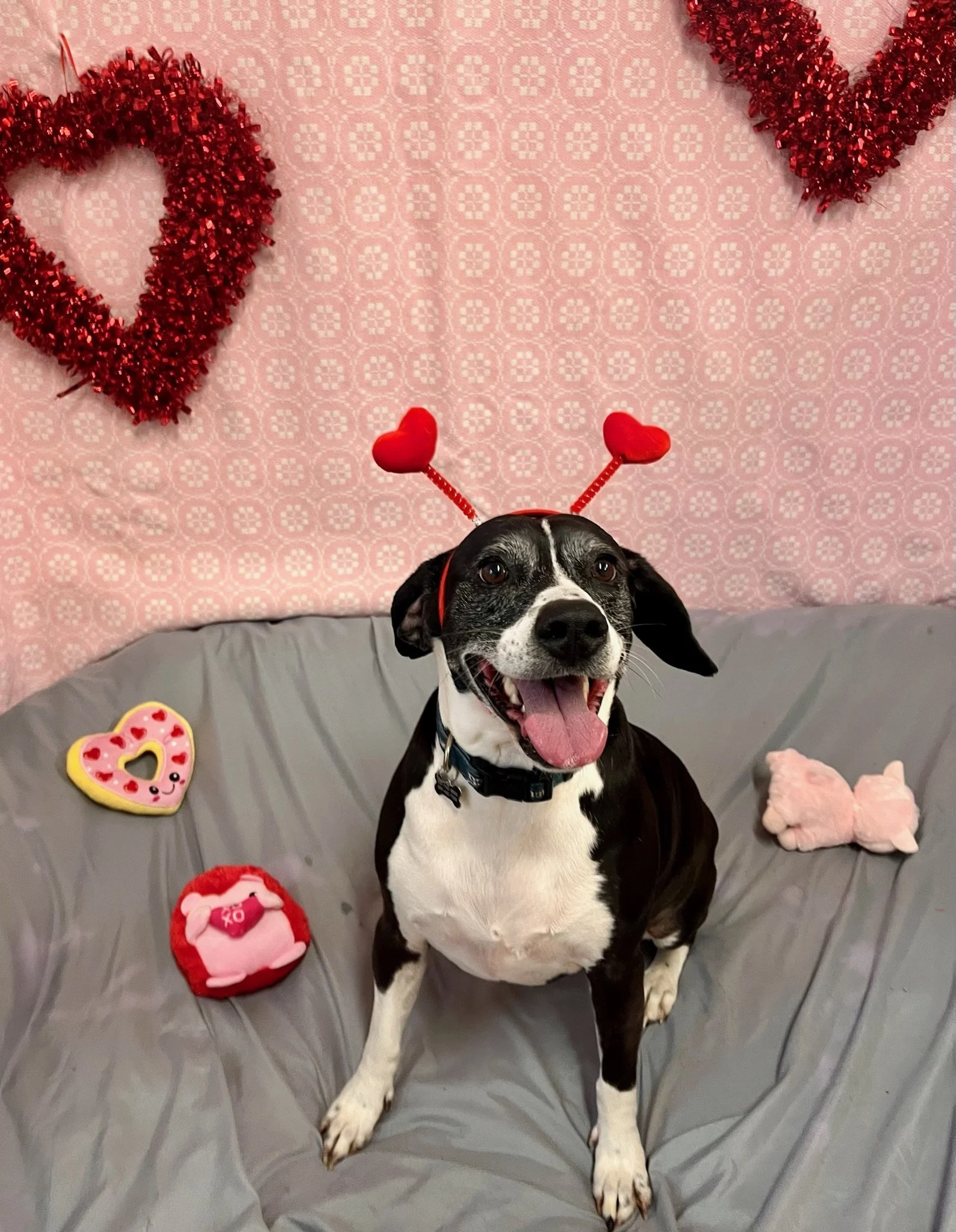 Valentine's Day 2025 