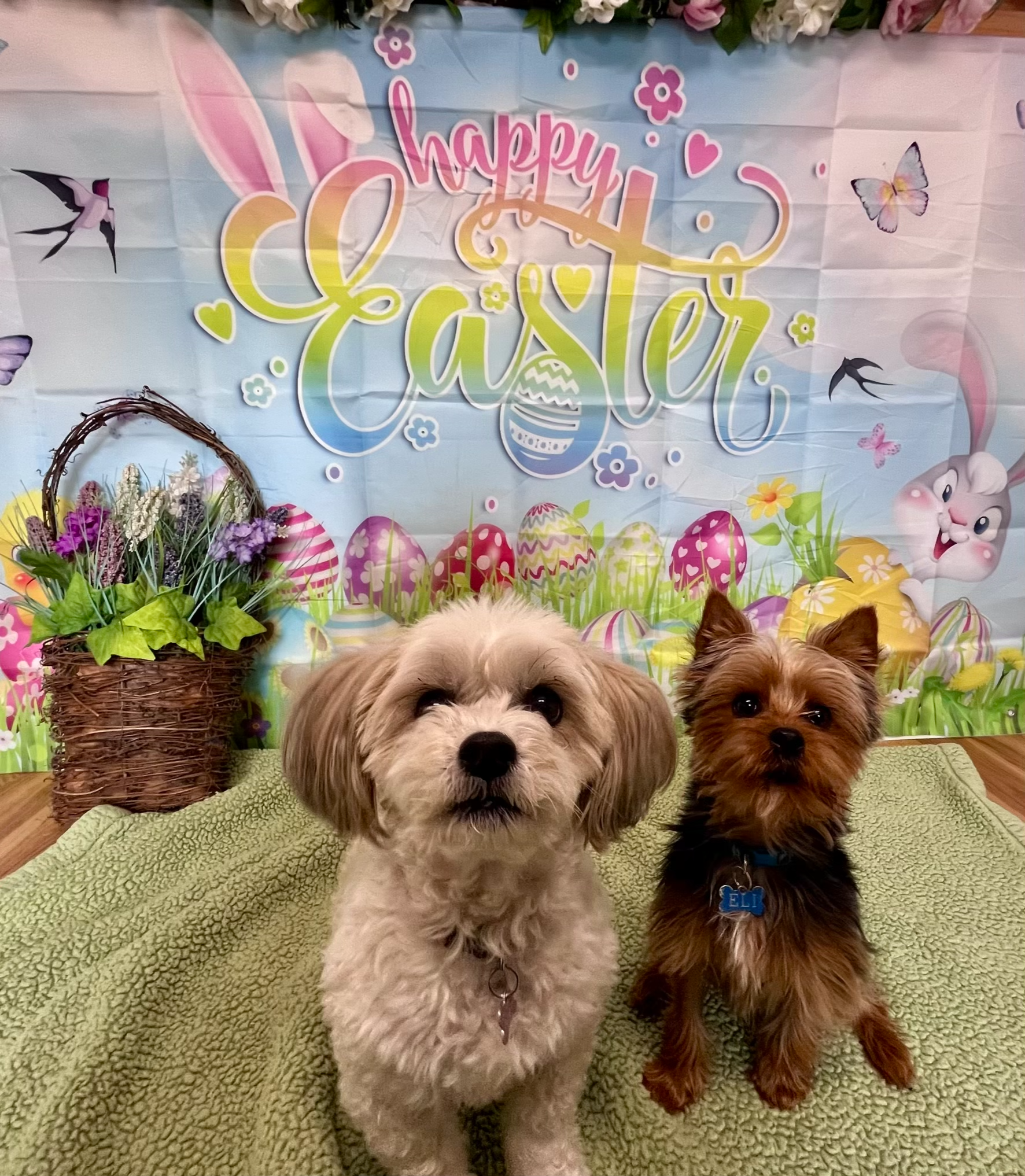 Easter 2026 