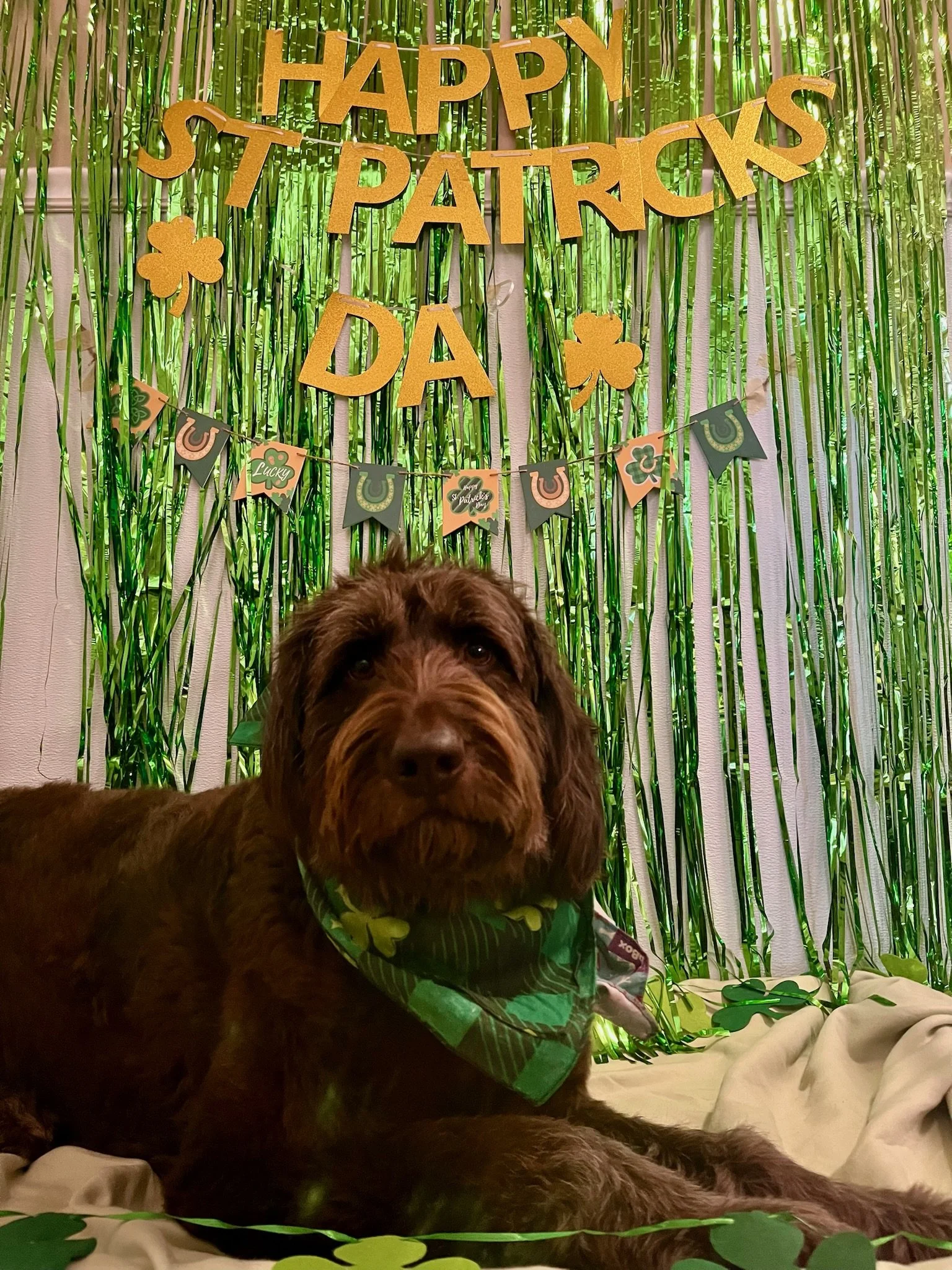 St. Patrick's Day 2025 