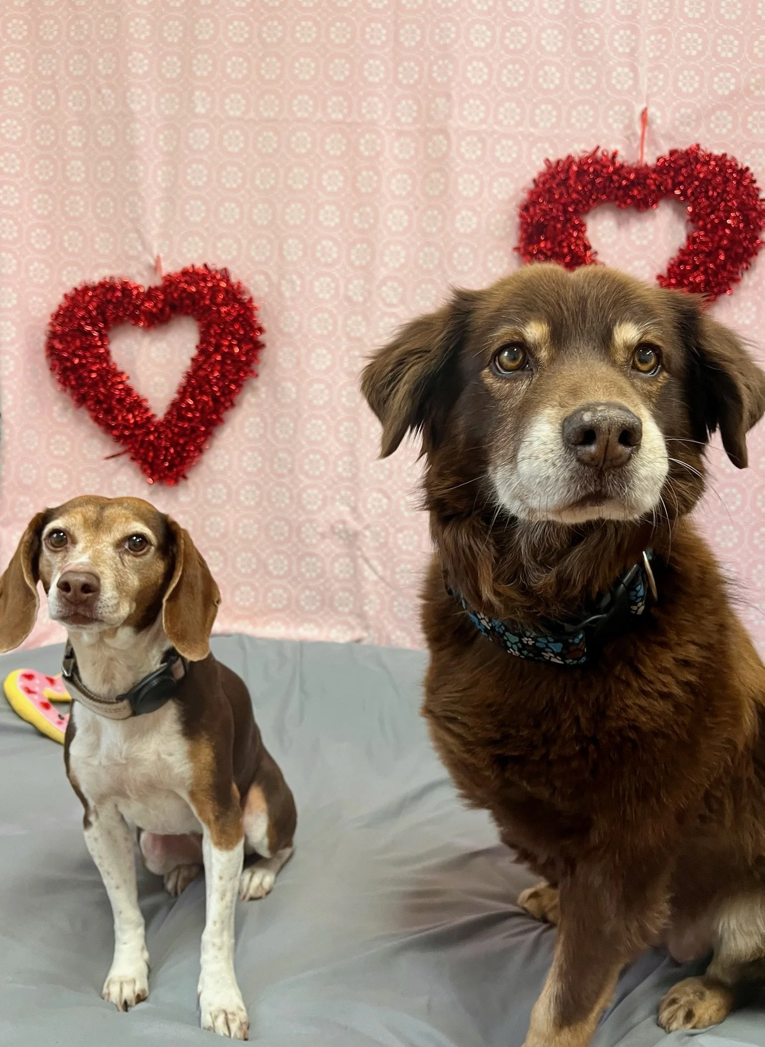 Valentine's Day 2025 