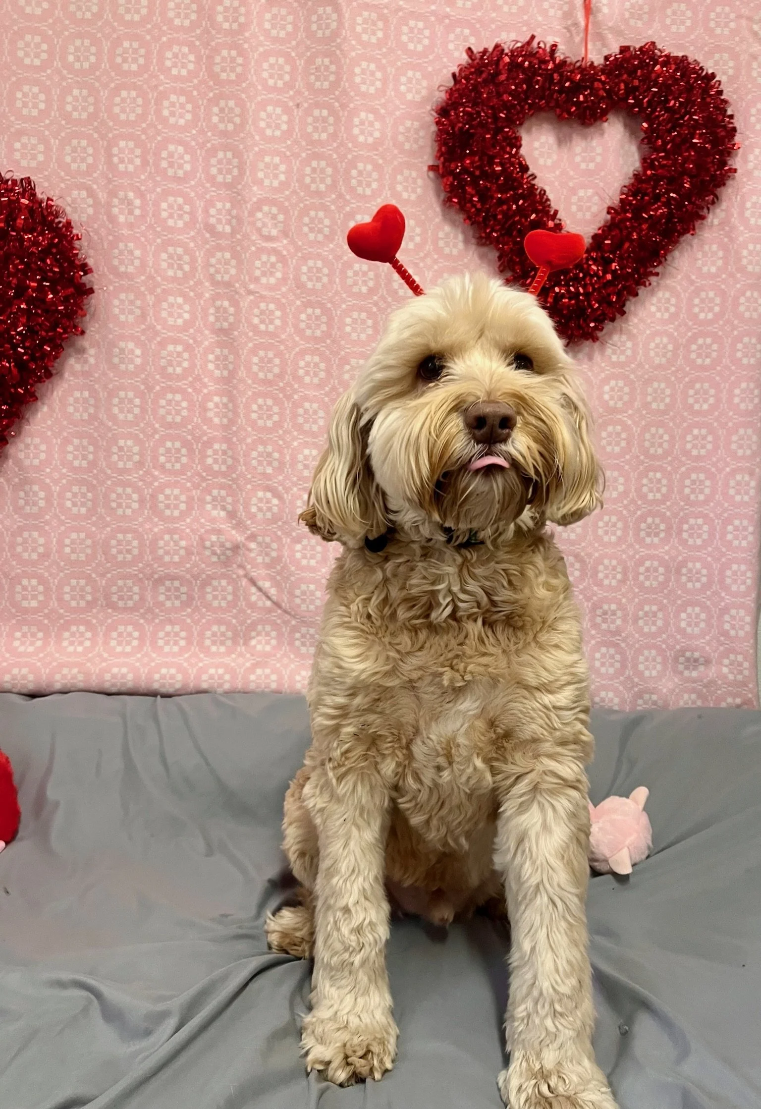 Valentine's Day 2025 