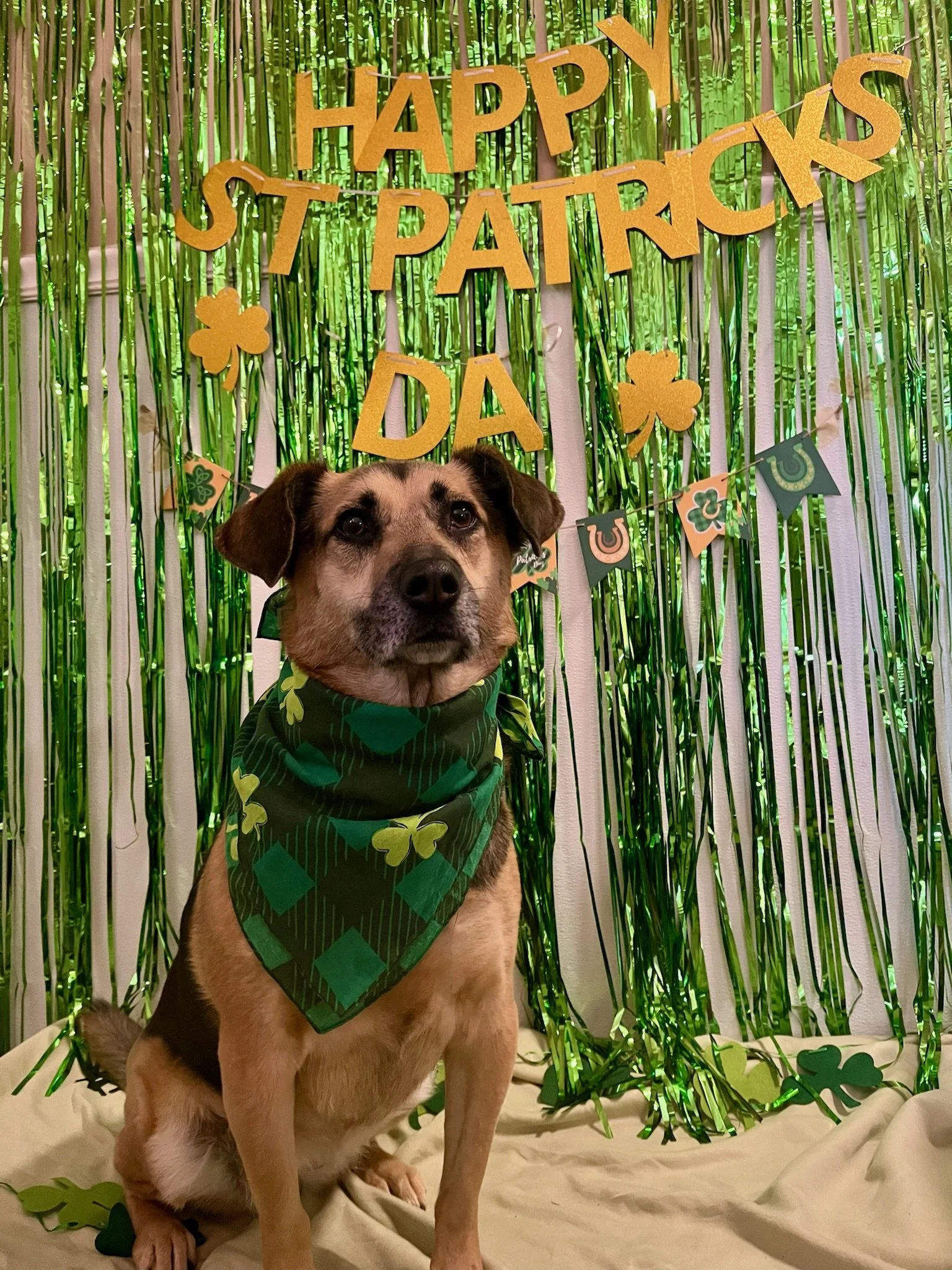 St. Patrick's Day 2025 