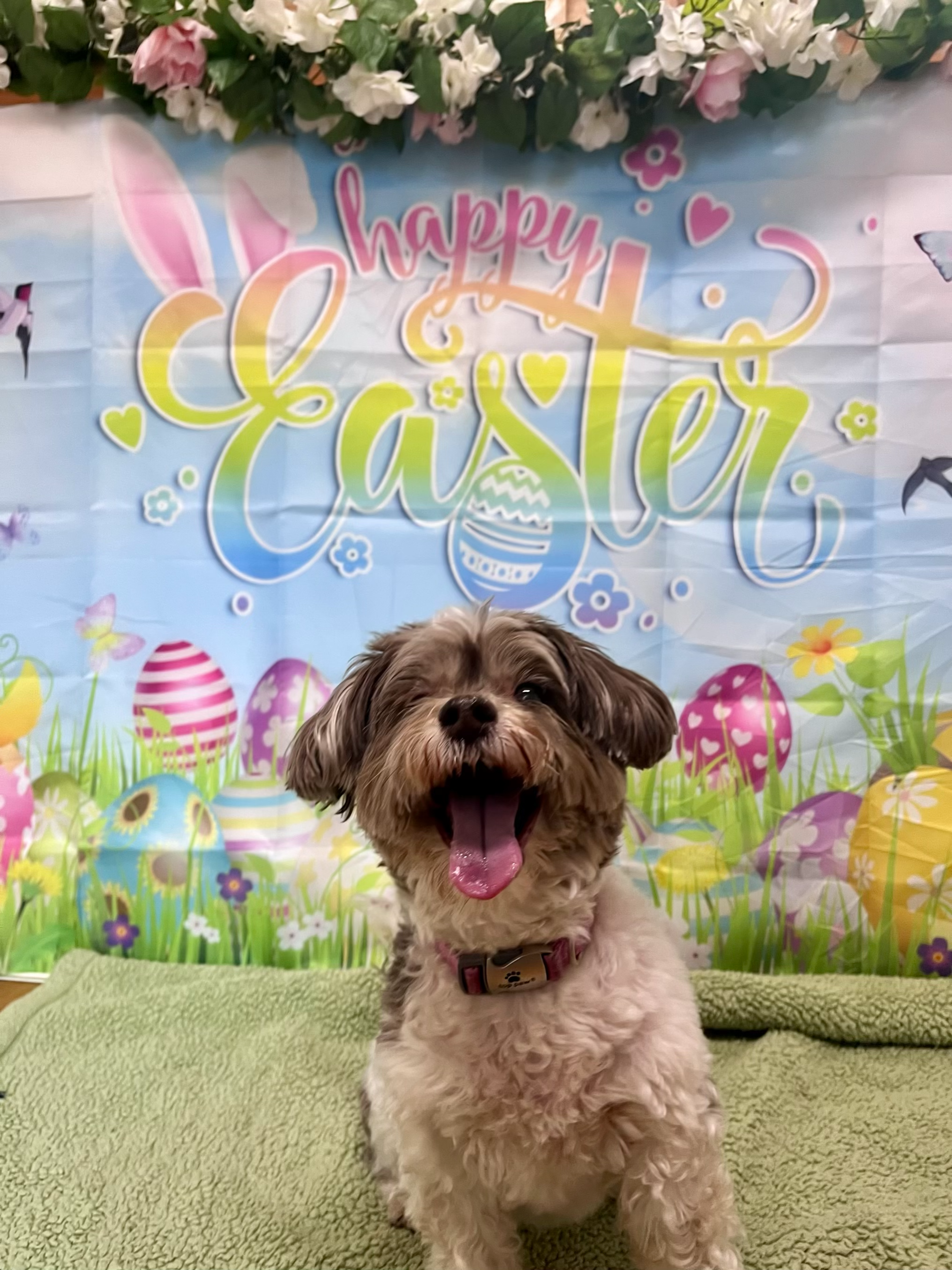 Easter 2026 