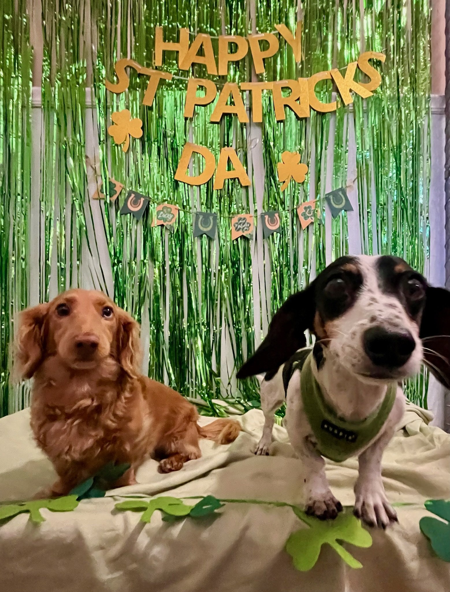 St. Patrick's Day 2025 